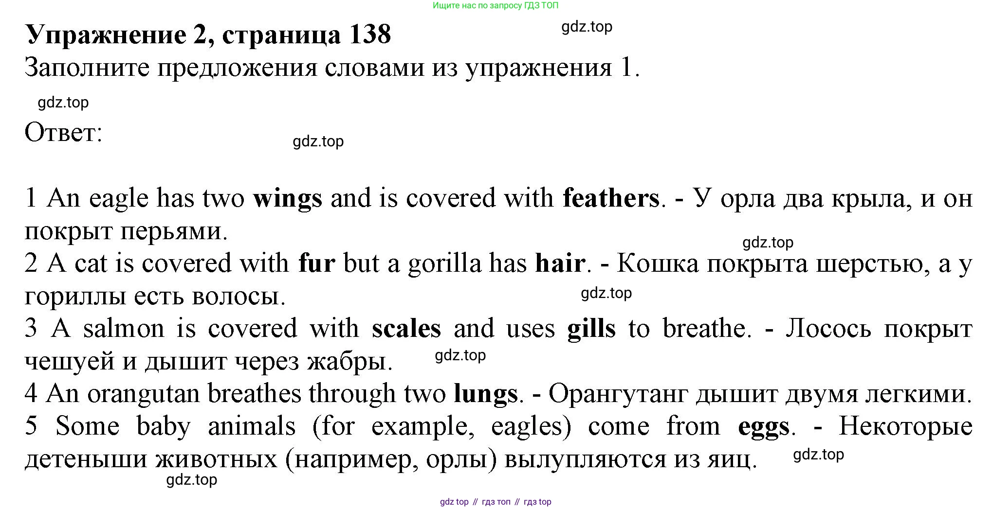 ГДЗ Английский язык (english), 6 класс Учебник (Student's book), авторы: Комарова Юлия Александровна, Ларионова Ирина Владимировна, издательство Русское слово, Москва, 2022, розового цвета, страница 138, номер 2, Решение