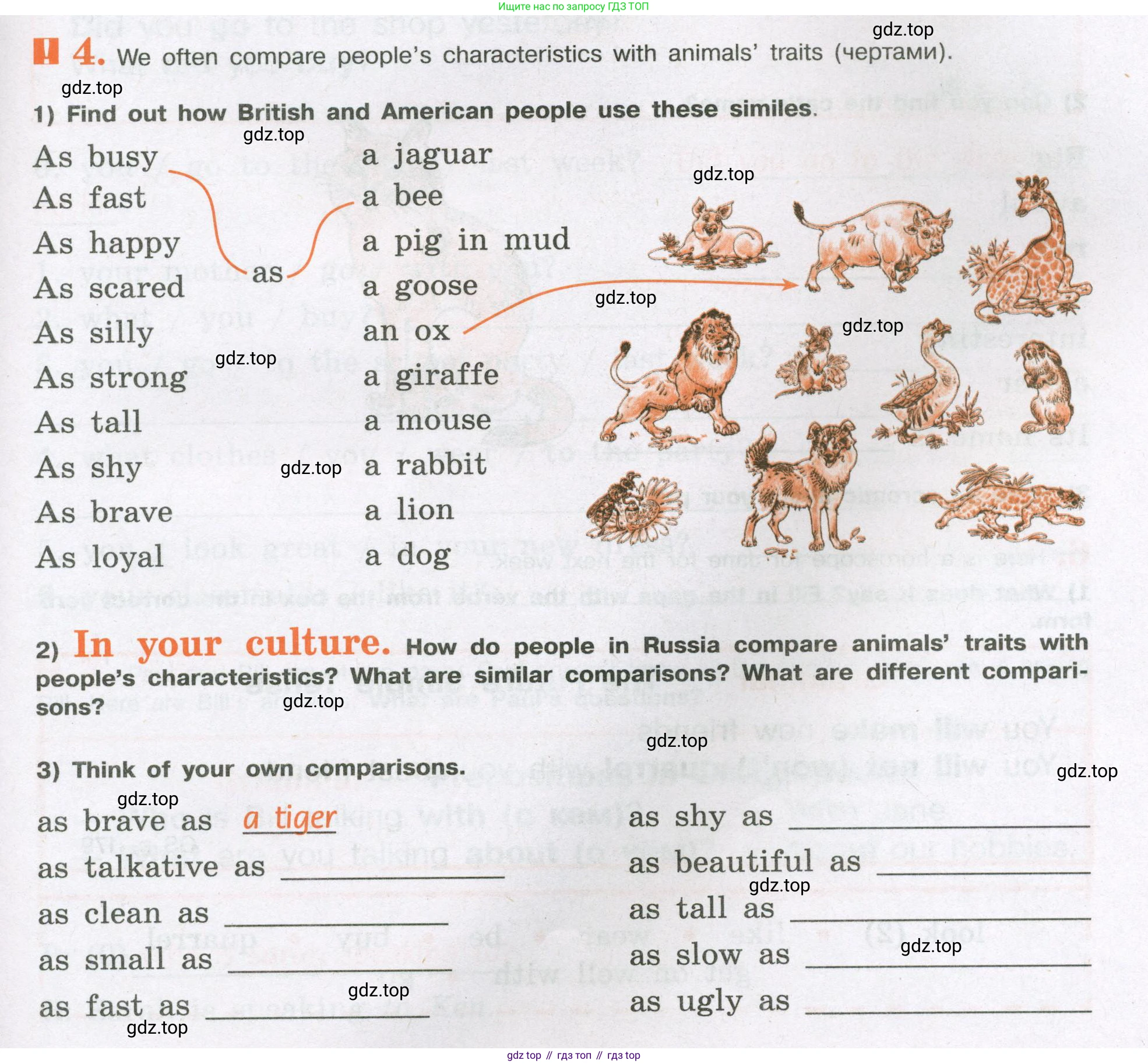 ГДЗ Английский язык (english), 6 класс рабочая тетрадь (activity book), авторы: Кузовлев Владимир Петрович (Kuzovlev Vladimir), Лапа Наталья Михайловна, Перегудова Эльвира Шакировна, Костина Ирина Павловна, Дуванова Ольга Викторовна, Кузнецова Елена Вячеславовна, издательство Просвещение, Москва, 2023, оранжевого цвета, страница 23, номер 4, Условие