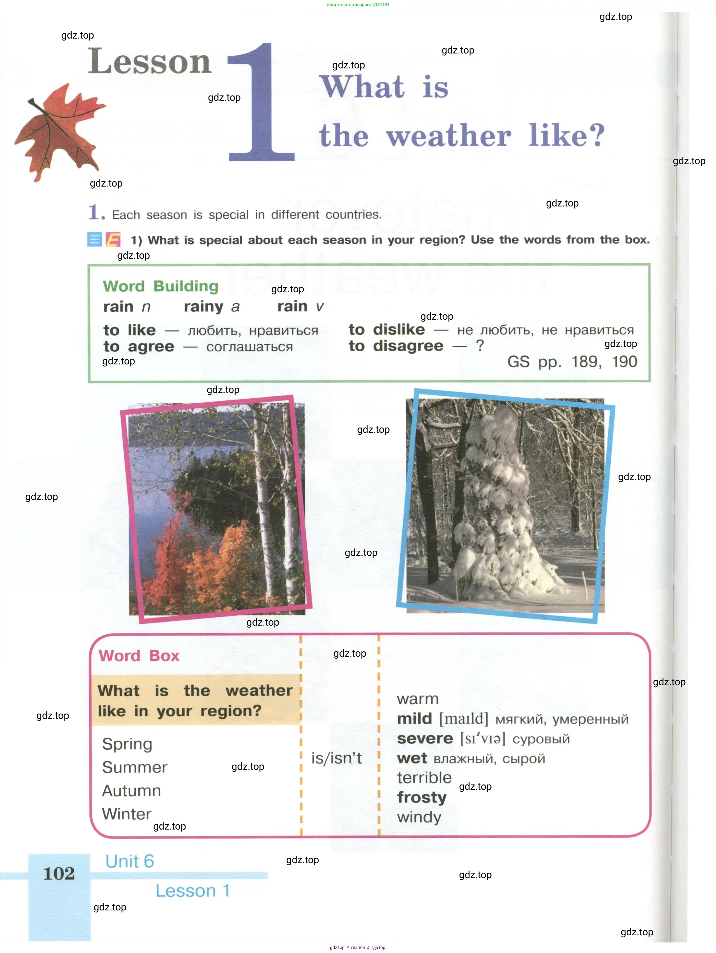 Английский язык (english), 6 класс Учебник (Student's book), авторы: Кузовлев Владимир Петрович (Kuzovlev Vladimir), Лапа Наталья Михайловна, Перегудова Эльвира Шакировна, Костина Ирина Павловна, Дуванова Ольга Викторовна, Кузнецова Елена Вячеславовна, издательство Просвещение, Москва, 2023, оранжевого цвета, страница 102