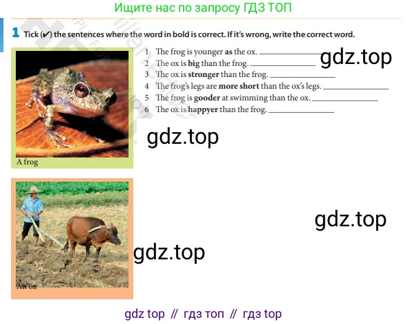 Английский язык (english), 6 класс Учебник (Student's book), авторы: Манн Малкольм (Mann Malcolm), Тейлор-Ноулз Стив (Taylore-Knowles Steve), издательство Macmillan Education, Алматы, 2012, страница 90, номер 1, Условие