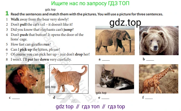Английский язык (english), 6 класс Учебник (Student's book), авторы: Манн Малкольм (Mann Malcolm), Тейлор-Ноулз Стив (Taylore-Knowles Steve), издательство Macmillan Education, Алматы, 2012, страница 109, номер 1, Условие