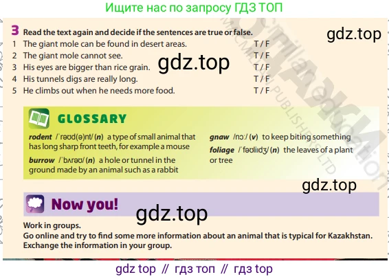 Английский язык (english), 6 класс Учебник (Student's book), авторы: Манн Малкольм (Mann Malcolm), Тейлор-Ноулз Стив (Taylore-Knowles Steve), издательство Macmillan Education, Алматы, 2012, страница 113, номер 3, Условие