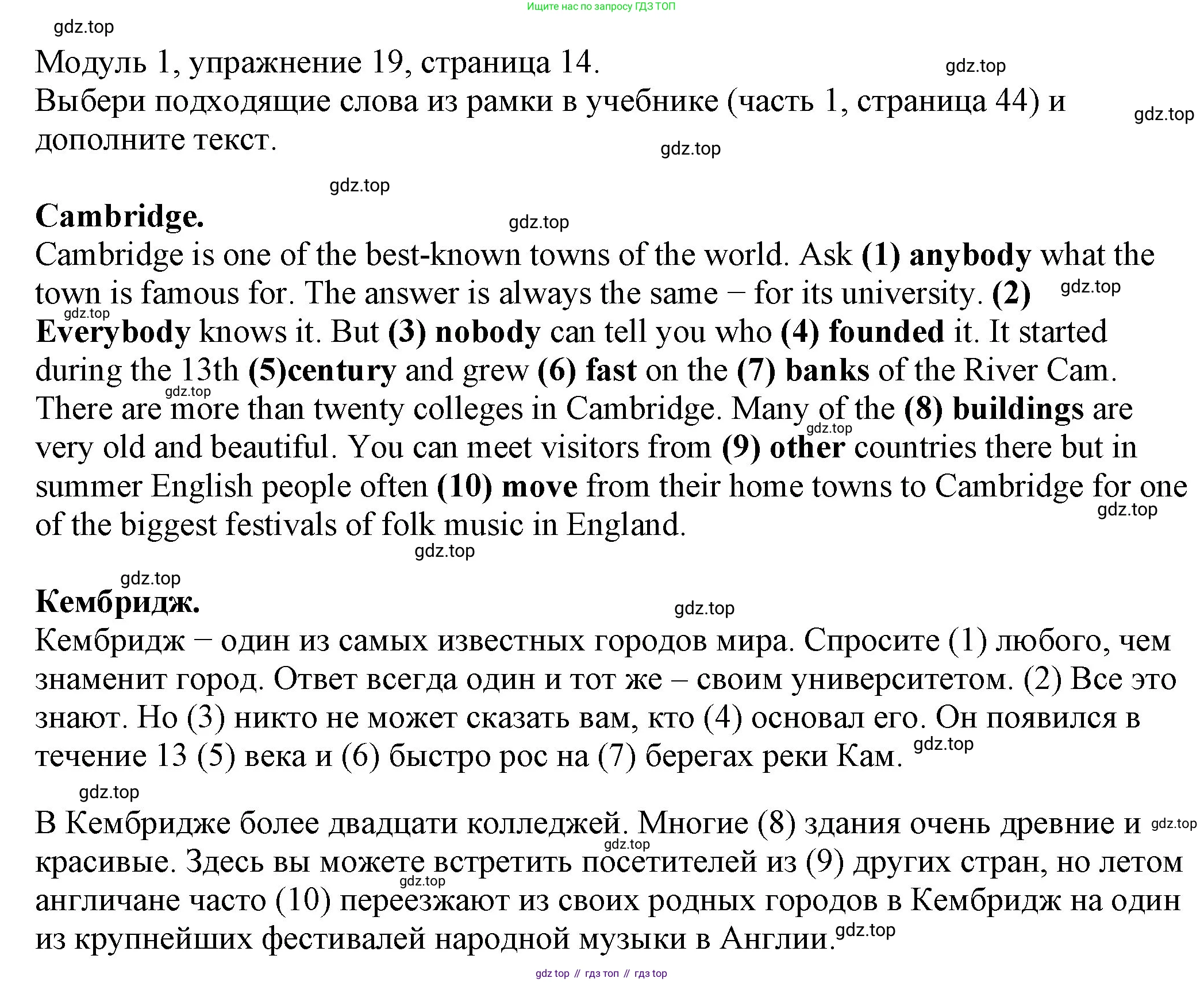 ГДЗ Английский язык (english), 6 класс рабочая тетрадь, авторы: Афанасьева Ольга Васильевна (Afanasyeva Olga), Михеева Ирина Владимировна (Mikheeva Irina), Баранова Ксения Михайловна (Baranova Ksenia), издательство Просвещение, Москва, 2023, страница 14, номер 19, Решение