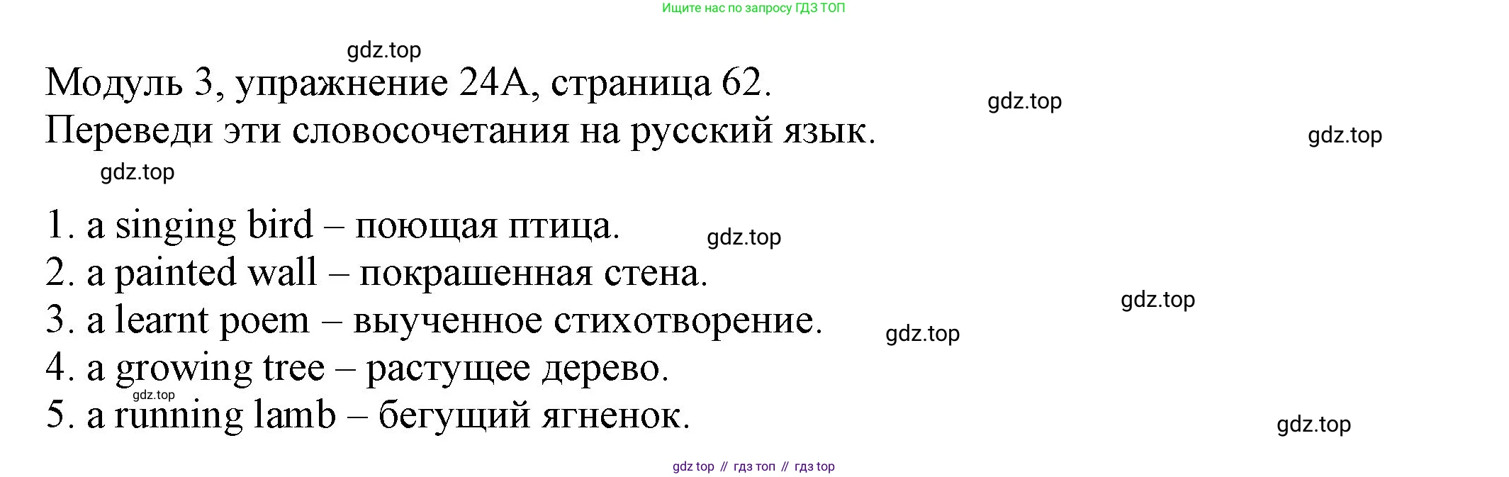 ГДЗ Английский язык (english), 6 класс рабочая тетрадь, авторы: Афанасьева Ольга Васильевна (Afanasyeva Olga), Михеева Ирина Владимировна (Mikheeva Irina), Баранова Ксения Михайловна (Baranova Ksenia), издательство Просвещение, Москва, 2023, страница 62, номер 24, Решение