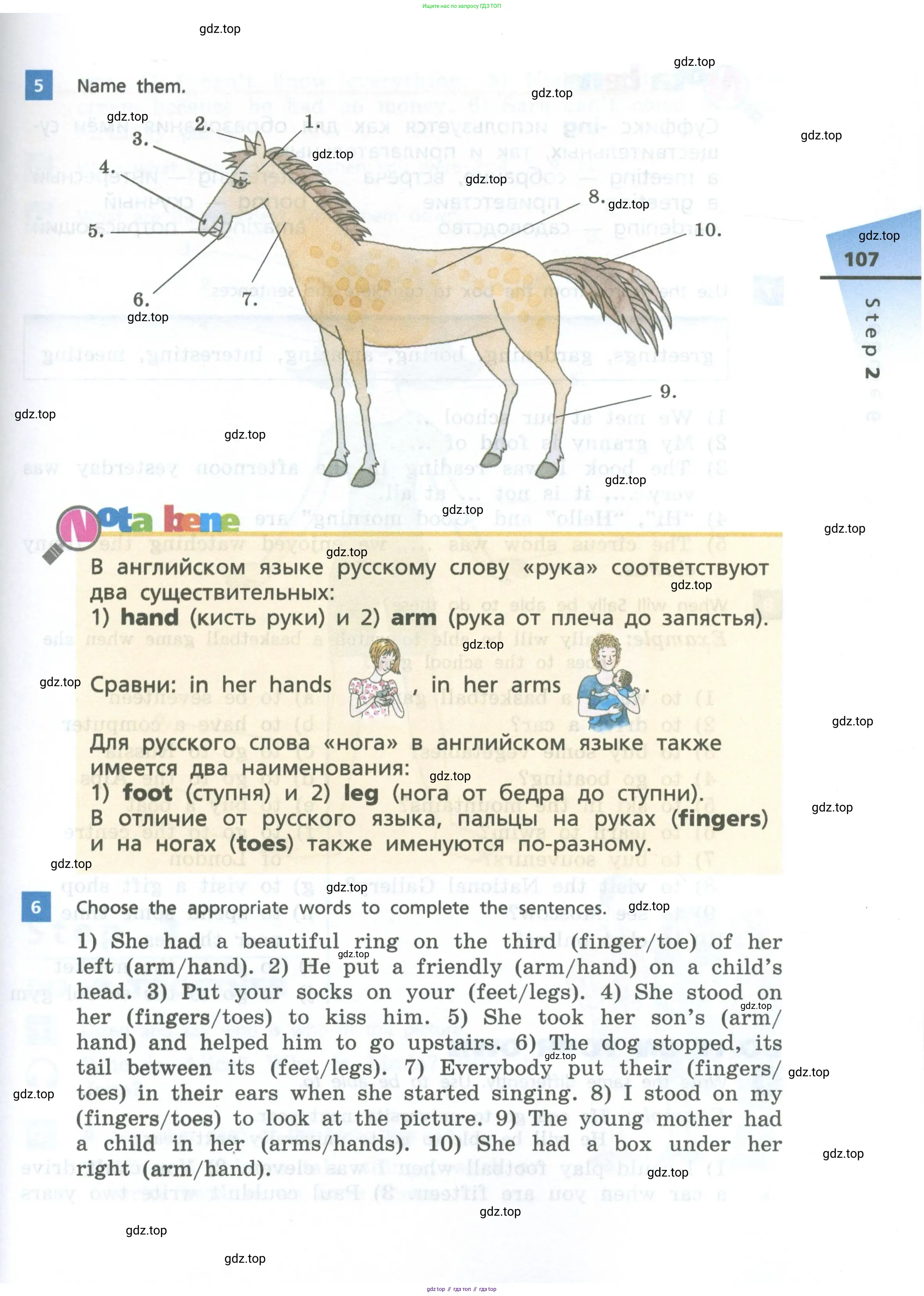 Английский язык (english), 6 класс Учебник, авторы: Афанасьева Ольга Васильевна (Afanasyeva Olga), Михеева Ирина Владимировна (Mikheeva Irina), Баранова Ксения Михайловна (Baranova Ksenia), издательство Просвещение, Москва, 2023, Часть 1, страница 107