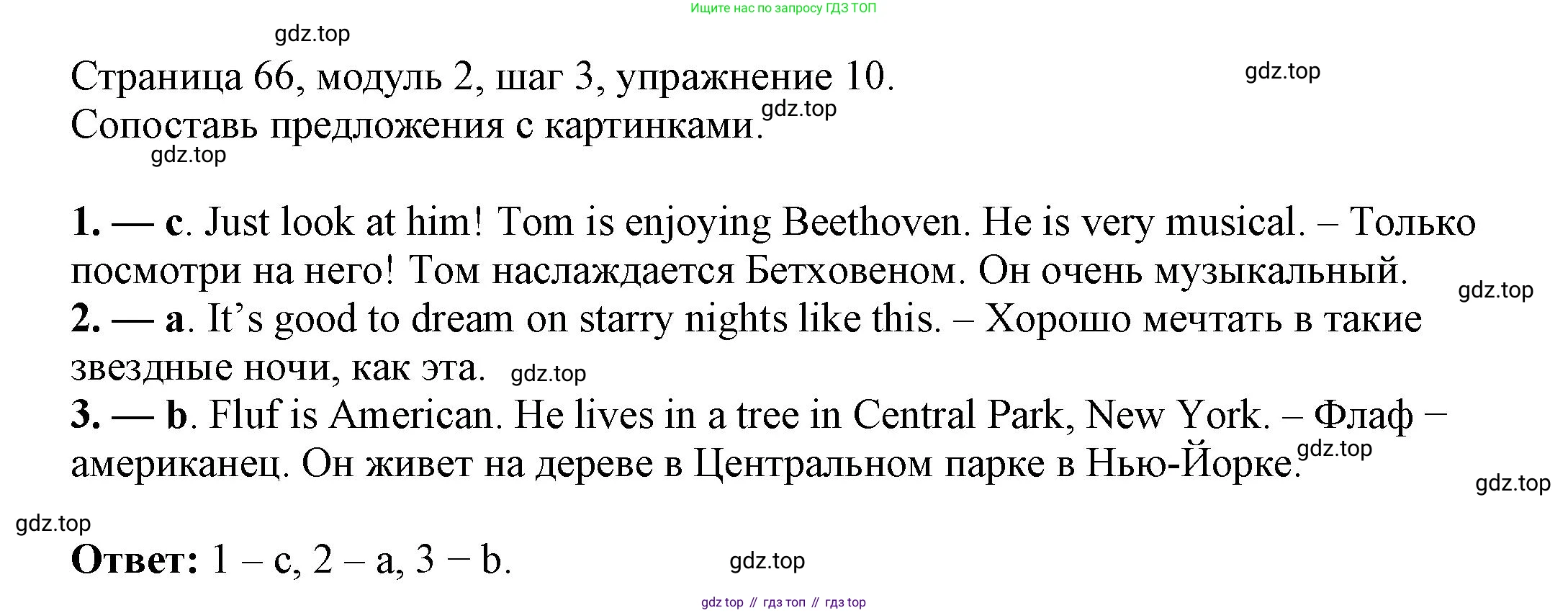 Английский язык (english), 6 класс Учебник, авторы: Афанасьева Ольга Васильевна (Afanasyeva Olga), Михеева Ирина Владимировна (Mikheeva Irina), Баранова Ксения Михайловна (Baranova Ksenia), издательство Просвещение, Москва, 2023, Часть 1, страница 66, номер 10, Решение
