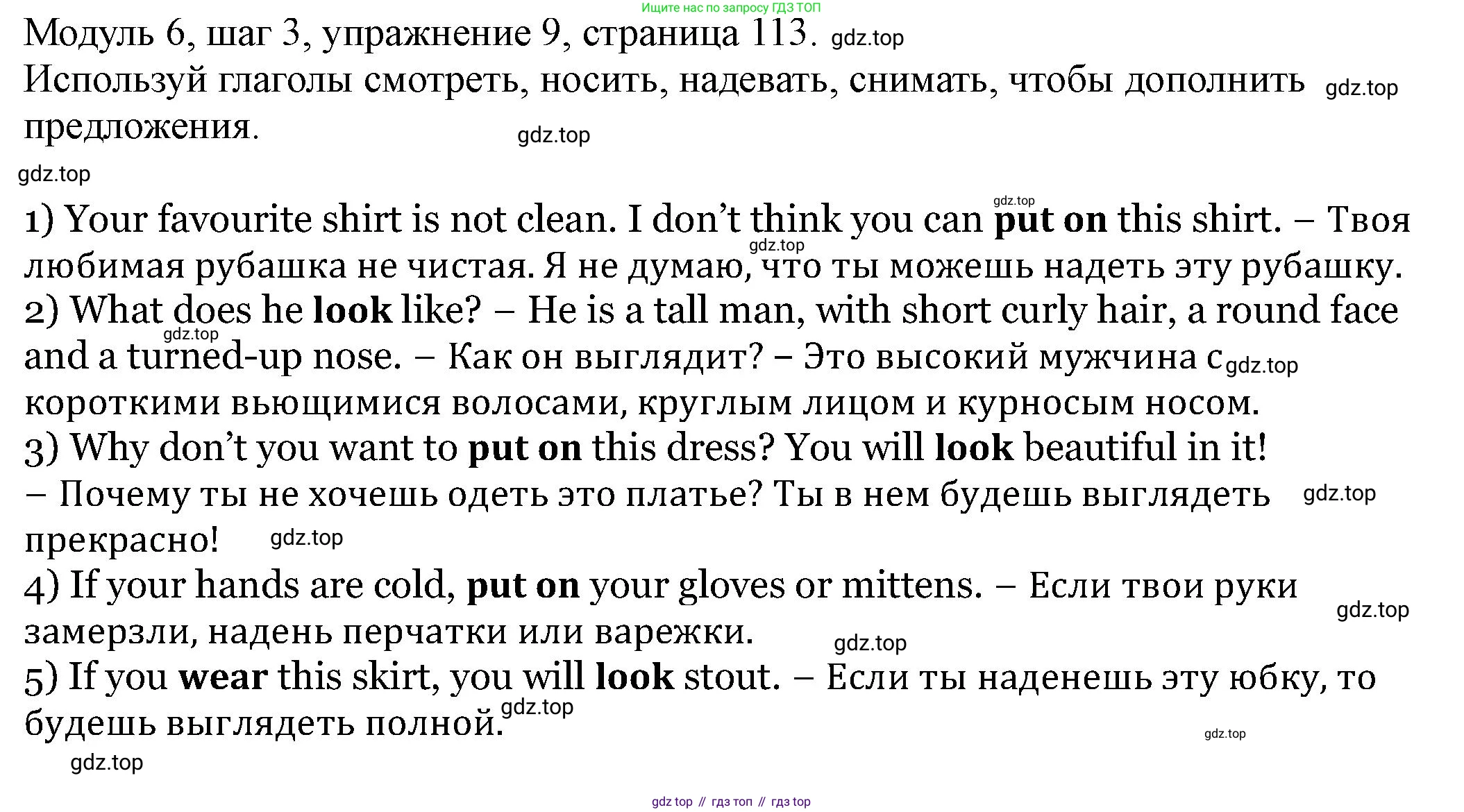 Английский язык (english), 6 класс Учебник, авторы: Афанасьева Ольга Васильевна (Afanasyeva Olga), Михеева Ирина Владимировна (Mikheeva Irina), Баранова Ксения Михайловна (Baranova Ksenia), издательство Просвещение, Москва, 2023, Часть 2, страница 113, номер 10, Решение