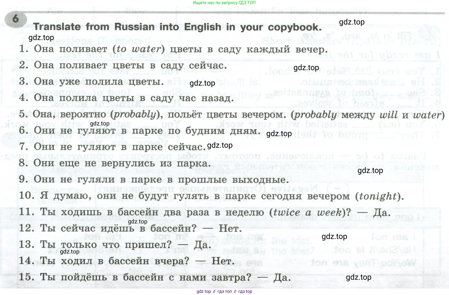 Английский язык (english), 6 класс Грамматический тренажёр, автор: Тимофеева Светлана Леонидовна, издательство Просвещение, Москва, 2023, зелёного цвета, страница 11, номер 6, Условие 2023-2027