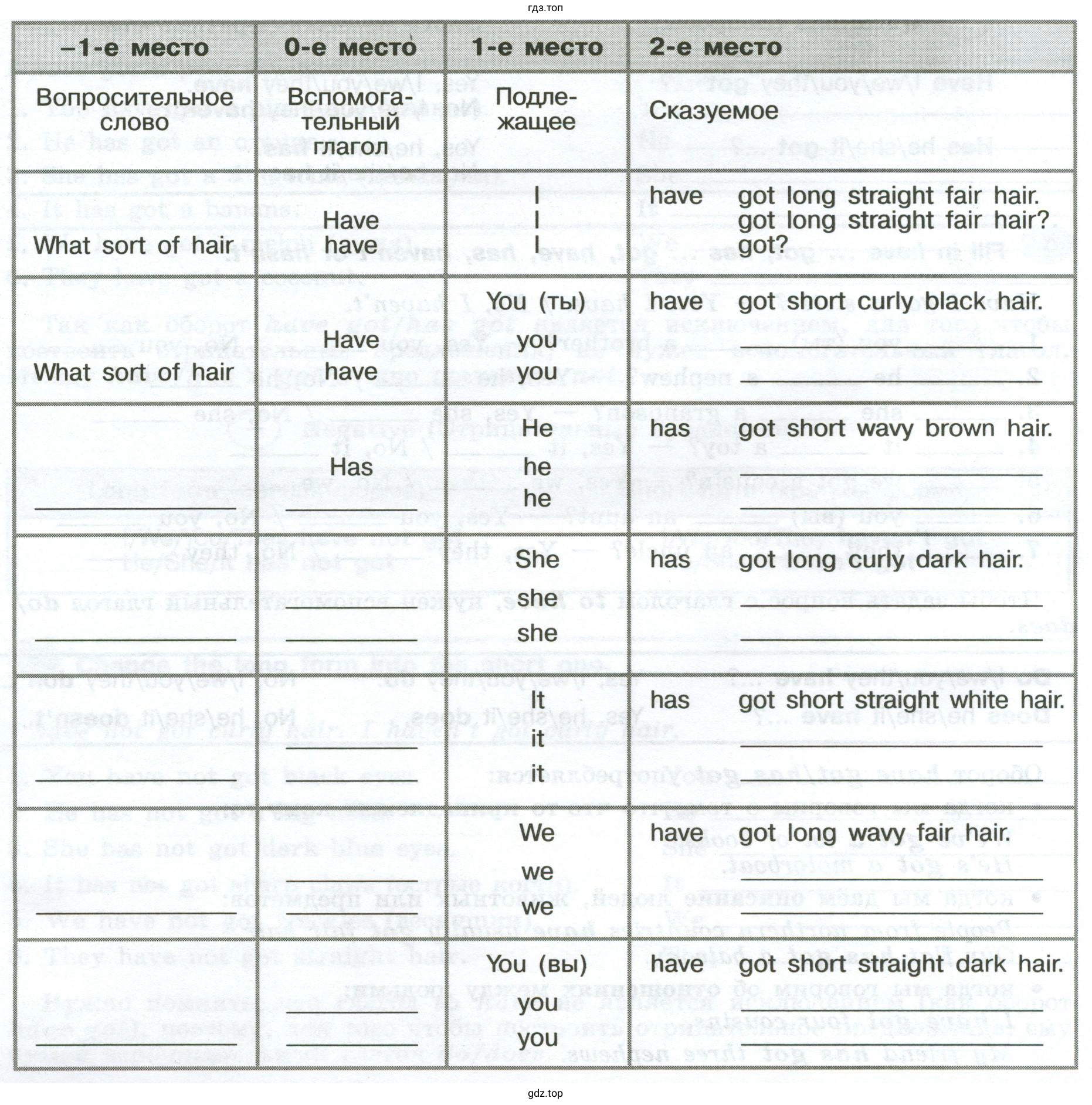 Complete the questions