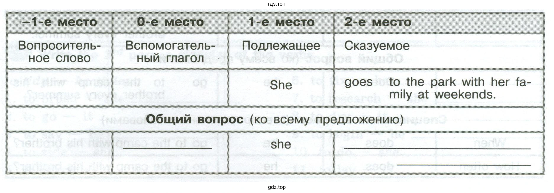 Complete the questions