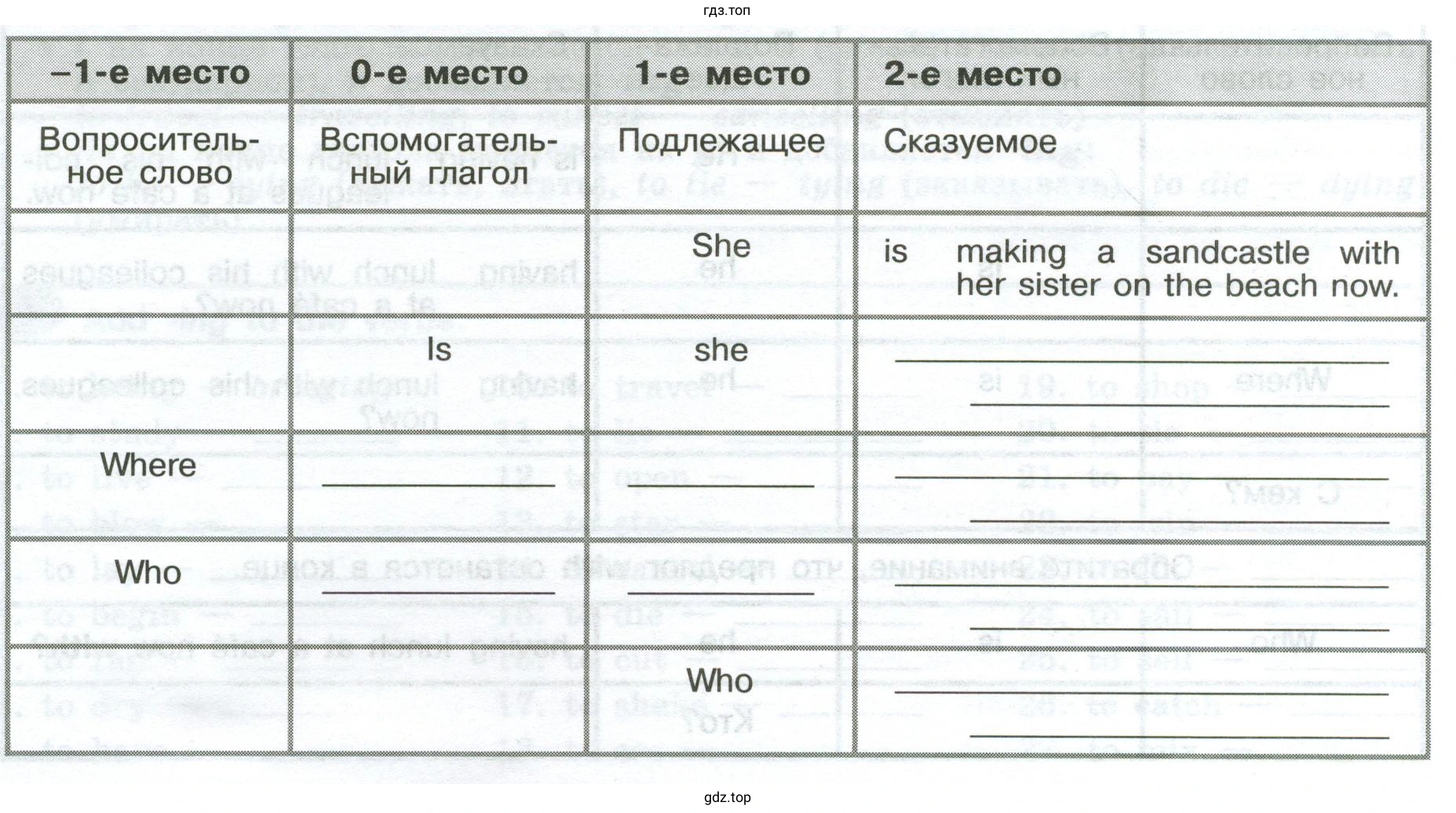 Complete the questions