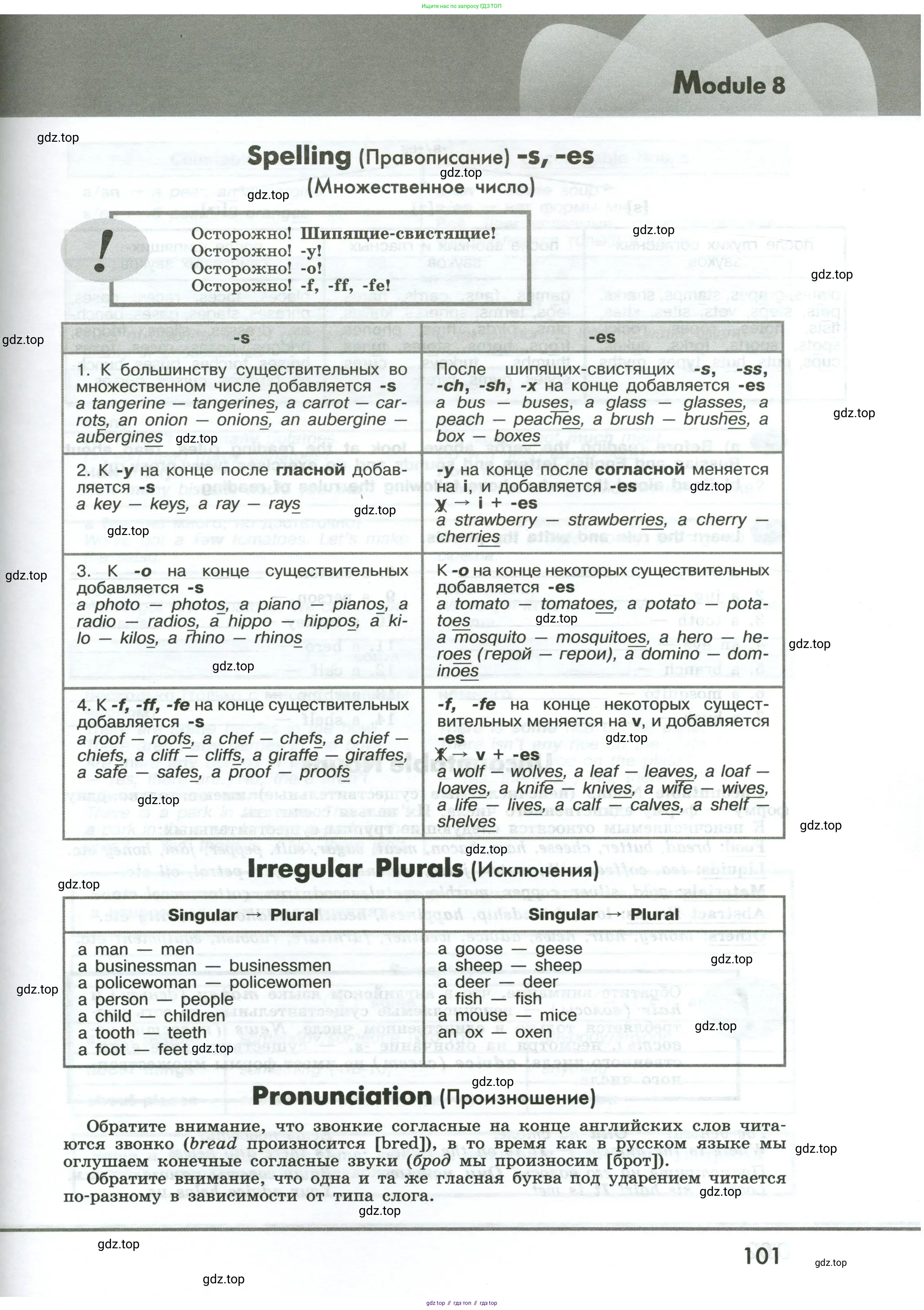 Английский язык (english), 6 класс Грамматический тренажёр, автор: Тимофеева Светлана Леонидовна, издательство Просвещение, Москва, 2023, зелёного цвета, страница 101