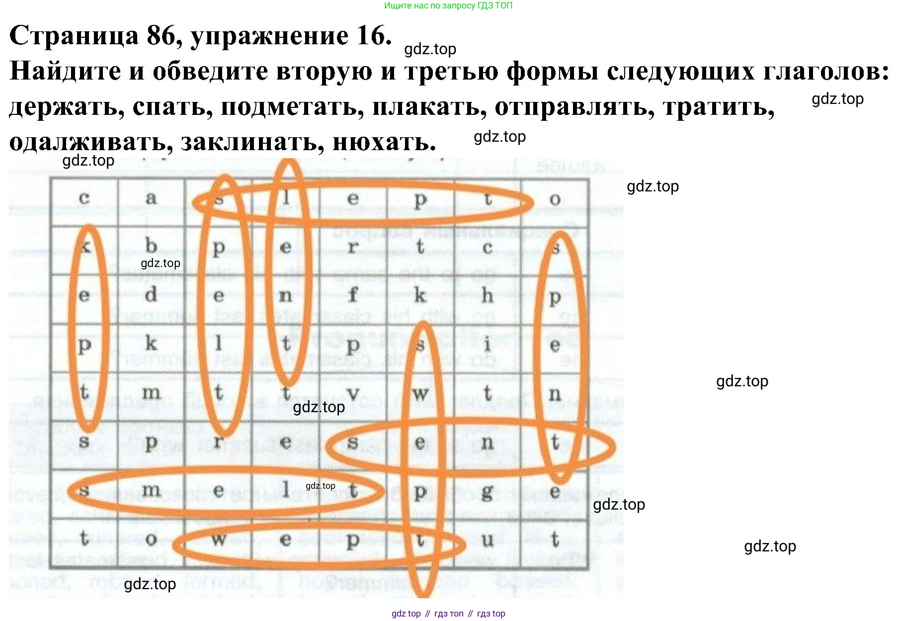 Английский язык (english), 6 класс Грамматический тренажёр, автор: Тимофеева Светлана Леонидовна, издательство Просвещение, Москва, 2023, зелёного цвета, страница 86, номер 16, Решение 1 (2023-2027)
