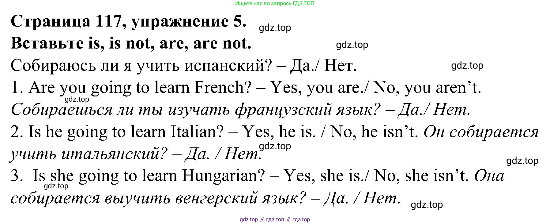 Английский язык (english), 6 класс Грамматический тренажёр, автор: Тимофеева Светлана Леонидовна, издательство Просвещение, Москва, 2023, зелёного цвета, страница 117, номер 5, Решение 1 (2023-2027)