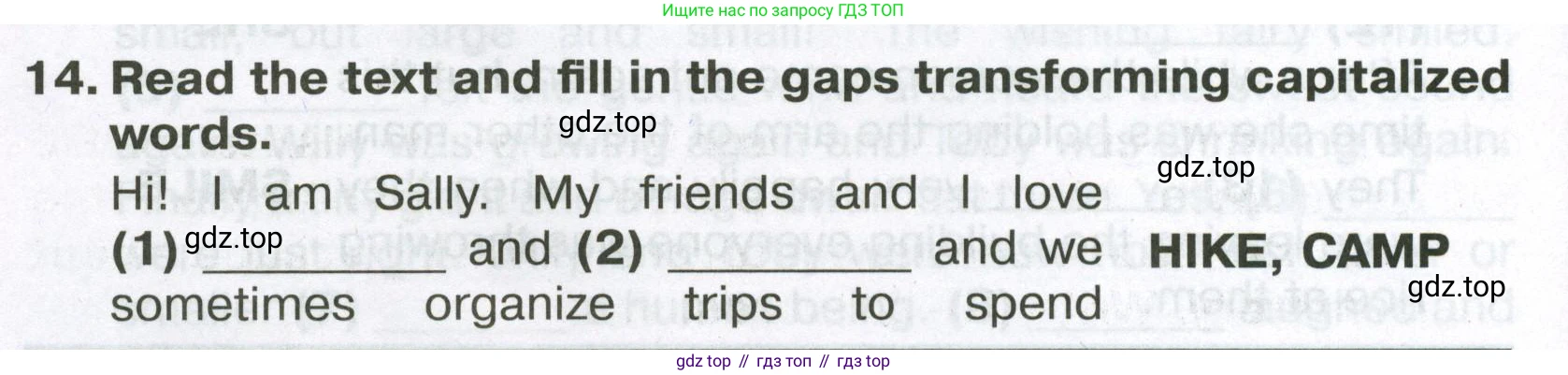 Английский язык (english), 6 класс Тренировочные упражнения в формате ОГЭ (ГИА), авторы: Ваулина Юлия Евгеньевна (Vaulina Julia), Подоляко Ольга Евгеньевна (Podolyako Olga), издательство Просвещение, Москва, 2023, зелёного цвета, страница 106, номер 14, Условие
