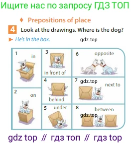 Английский язык (english), 6 класс Учебник (Student's book), авторы: Ваулина Юлия Евгеньевна (Vaulina Julia), Дули Дженни (Dooley Jenny), Подоляко Ольга Евгеньевна (Podolyako Olga), Эванс Вирджиния (Evans Virginia), издательство Просвещение, Москва, 2023, зелёного цвета, страница 18, номер 4, Условие 2023-2027