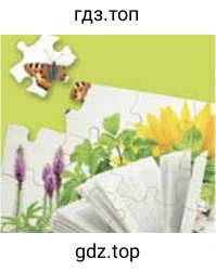 Рисунок. jigsaw puzzle