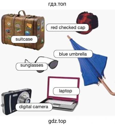 red checked cap suitcase blue umbrella sunglasses laptop digital camera