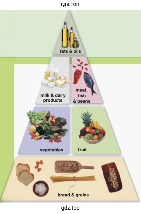 Рисунок. food pyramid
