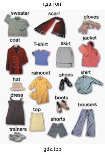 sweater coat scarf gloves shirt raincoat shoes hat dress boots top Shorts trainers
