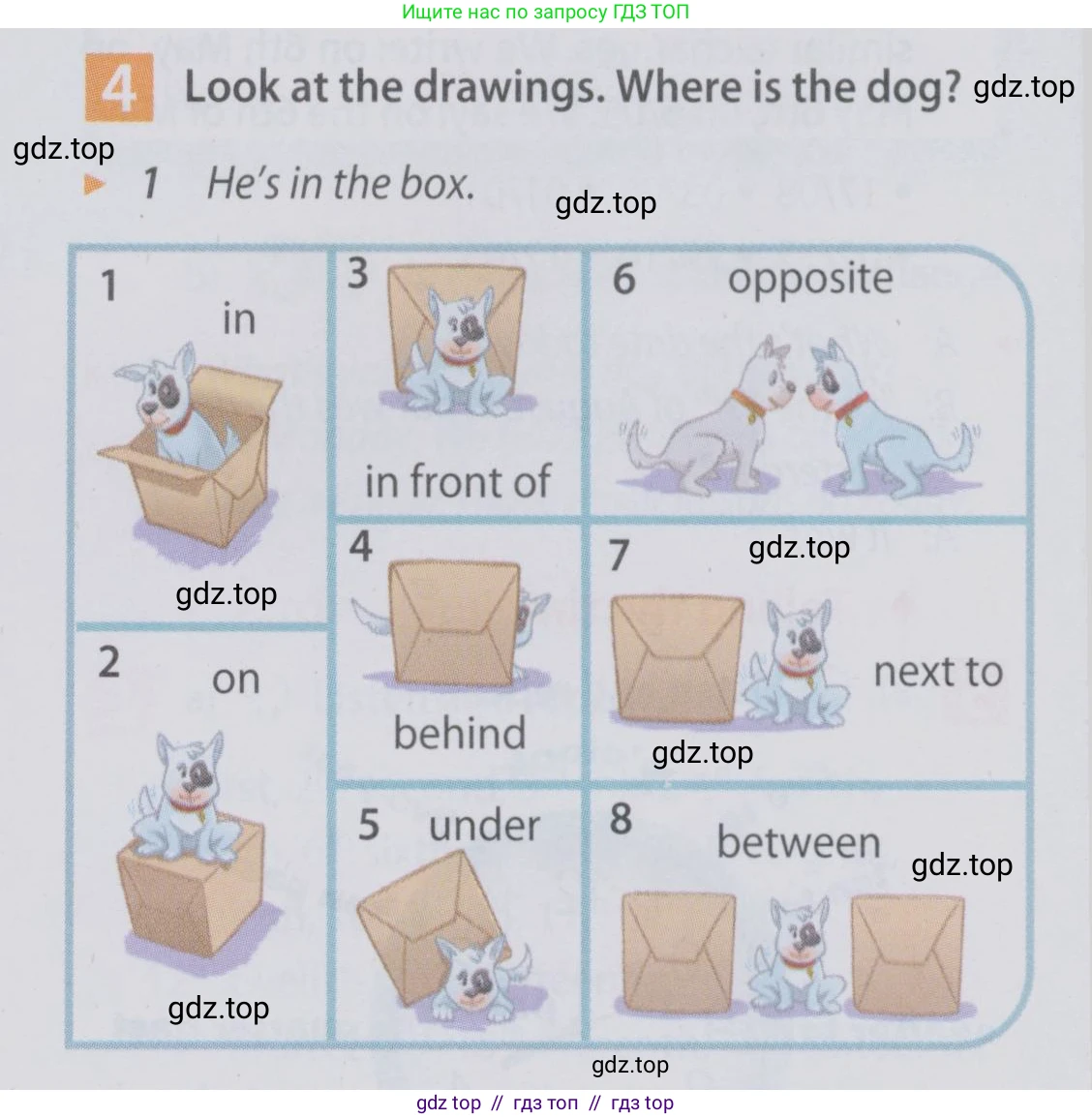 Английский язык (english), 6 класс Учебник (Student's book), авторы: Ваулина Юлия Евгеньевна (Vaulina Julia), Дули Дженни (Dooley Jenny), Подоляко Ольга Евгеньевна (Podolyako Olga), Эванс Вирджиния (Evans Virginia), издательство Просвещение, Москва, 2023, зелёного цвета, страница 18, номер 4, Условие 2019-2022