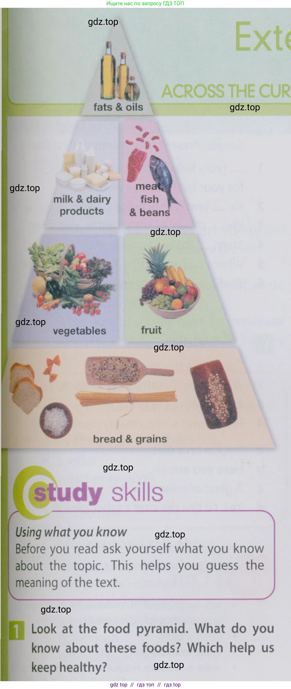 Английский язык (english), 6 класс Учебник (Student's book), авторы: Ваулина Юлия Евгеньевна (Vaulina Julia), Дули Дженни (Dooley Jenny), Подоляко Ольга Евгеньевна (Podolyako Olga), Эванс Вирджиния (Evans Virginia), издательство Просвещение, Москва, 2023, зелёного цвета, страница 93, номер 1, Условие 2019-2022