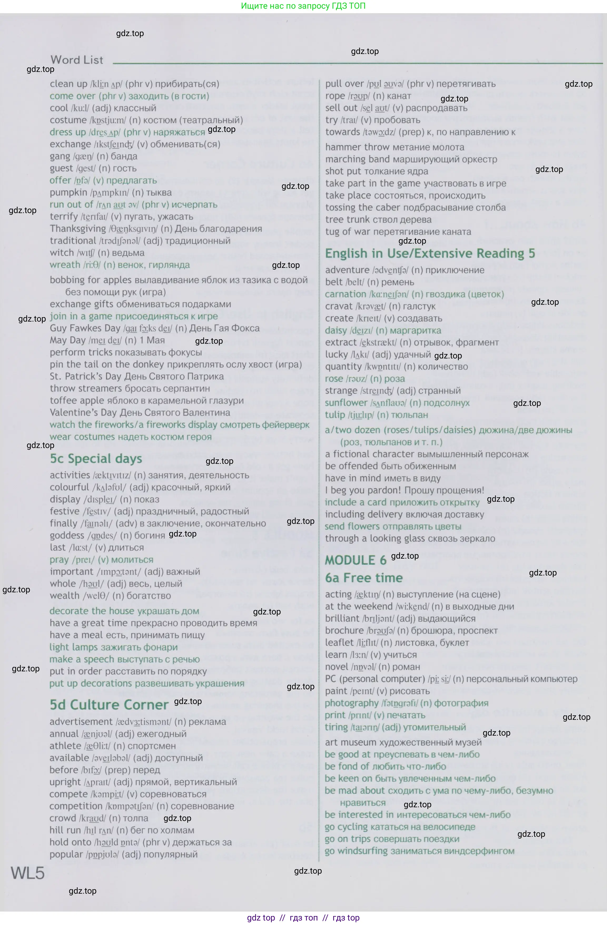 Английский язык (english), 6 класс Учебник (Student's book), авторы: Ваулина Юлия Евгеньевна (Vaulina Julia), Дули Дженни (Dooley Jenny), Подоляко Ольга Евгеньевна (Podolyako Olga), Эванс Вирджиния (Evans Virginia), издательство Просвещение, Москва, 2023, зелёного цвета, страница 132