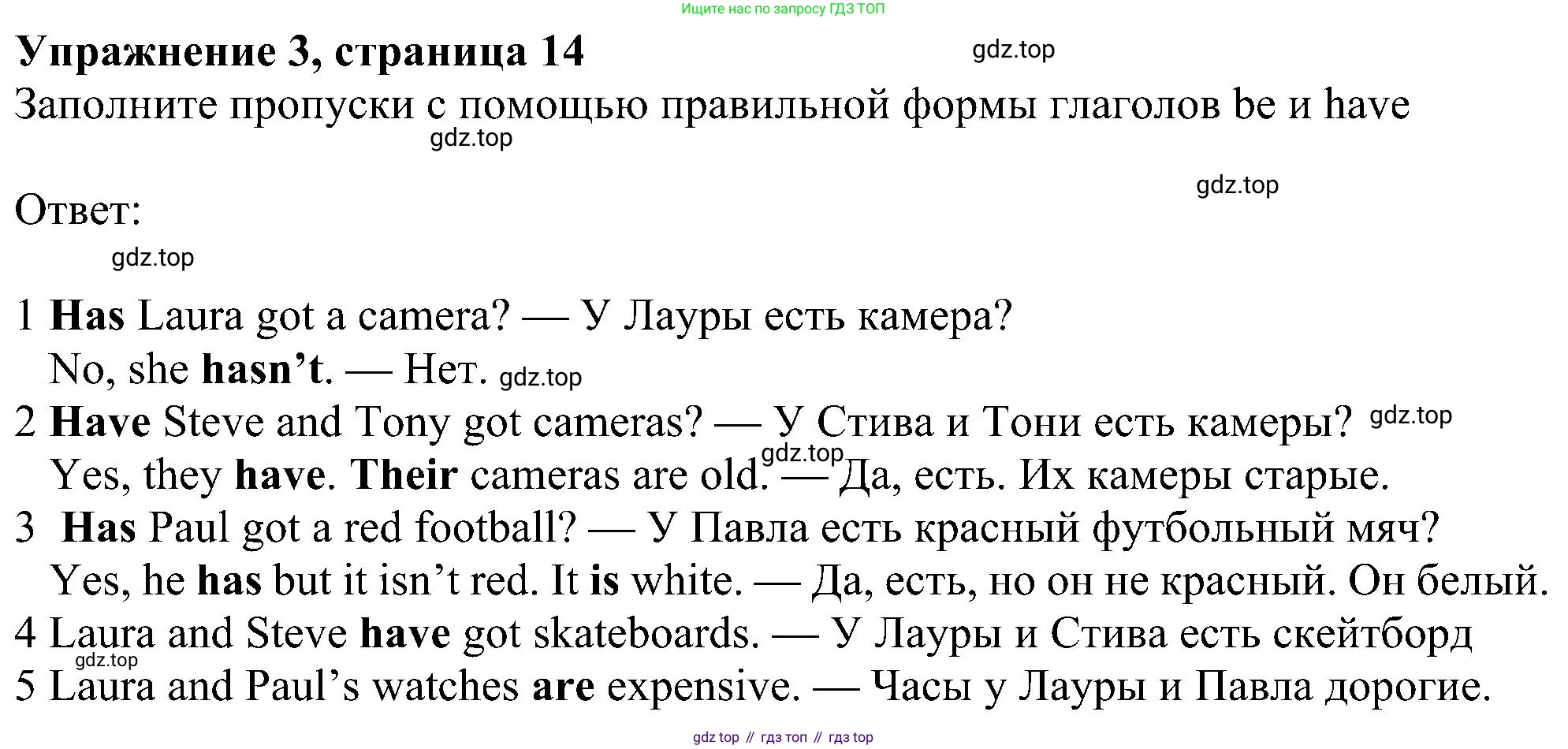Английский язык (english), 6 класс Учебник (Student's book), авторы: Ваулина Юлия Евгеньевна (Vaulina Julia), Дули Дженни (Dooley Jenny), Подоляко Ольга Евгеньевна (Podolyako Olga), Эванс Вирджиния (Evans Virginia), издательство Просвещение, Москва, 2023, зелёного цвета, страница 14, номер 3, Решение 1 (2023-2027)