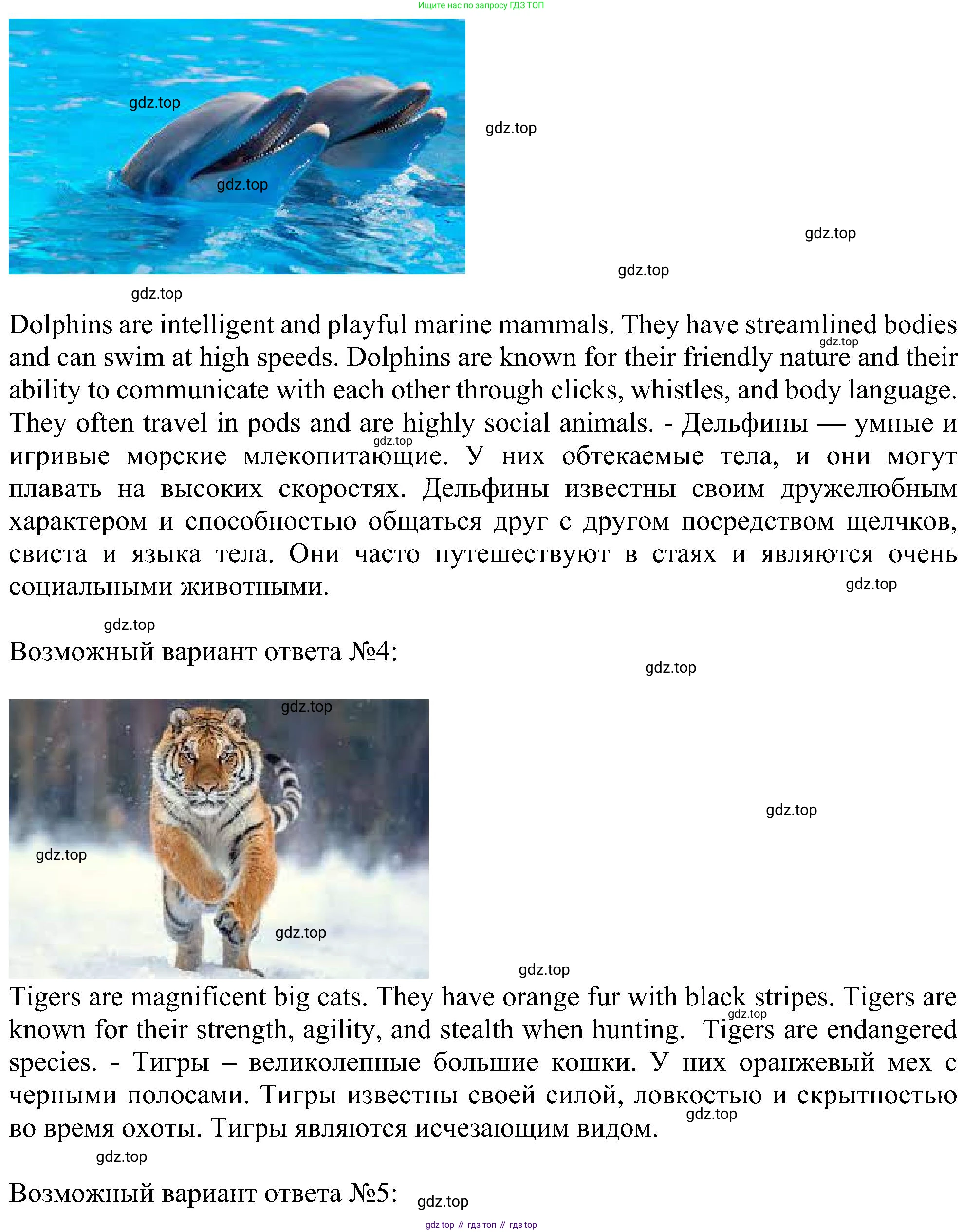 Английский язык (english), 6 класс Учебник (Student's book), авторы: Ваулина Юлия Евгеньевна (Vaulina Julia), Дули Дженни (Dooley Jenny), Подоляко Ольга Евгеньевна (Podolyako Olga), Эванс Вирджиния (Evans Virginia), издательство Просвещение, Москва, 2023, зелёного цвета, страница 114, Решение 1 (2023-2027) (продолжение 4)