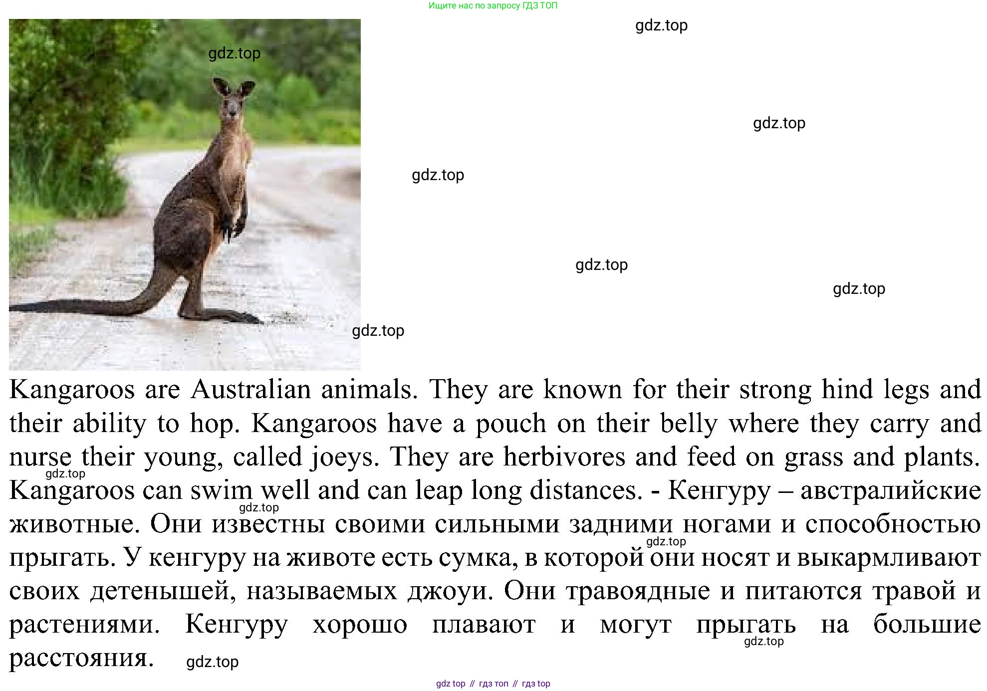 Английский язык (english), 6 класс Учебник (Student's book), авторы: Ваулина Юлия Евгеньевна (Vaulina Julia), Дули Дженни (Dooley Jenny), Подоляко Ольга Евгеньевна (Podolyako Olga), Эванс Вирджиния (Evans Virginia), издательство Просвещение, Москва, 2023, зелёного цвета, страница 114, Решение 1 (2023-2027) (продолжение 5)