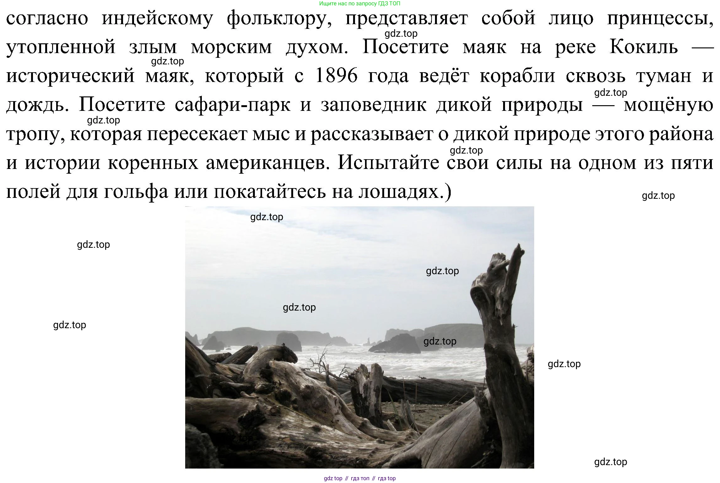 Английский язык (english), 6 класс Учебник (Student's book), авторы: Ваулина Юлия Евгеньевна (Vaulina Julia), Дули Дженни (Dooley Jenny), Подоляко Ольга Евгеньевна (Podolyako Olga), Эванс Вирджиния (Evans Virginia), издательство Просвещение, Москва, 2023, зелёного цвета, страница 103, номер 5, Решение 2 (2023-2027) (продолжение 5)