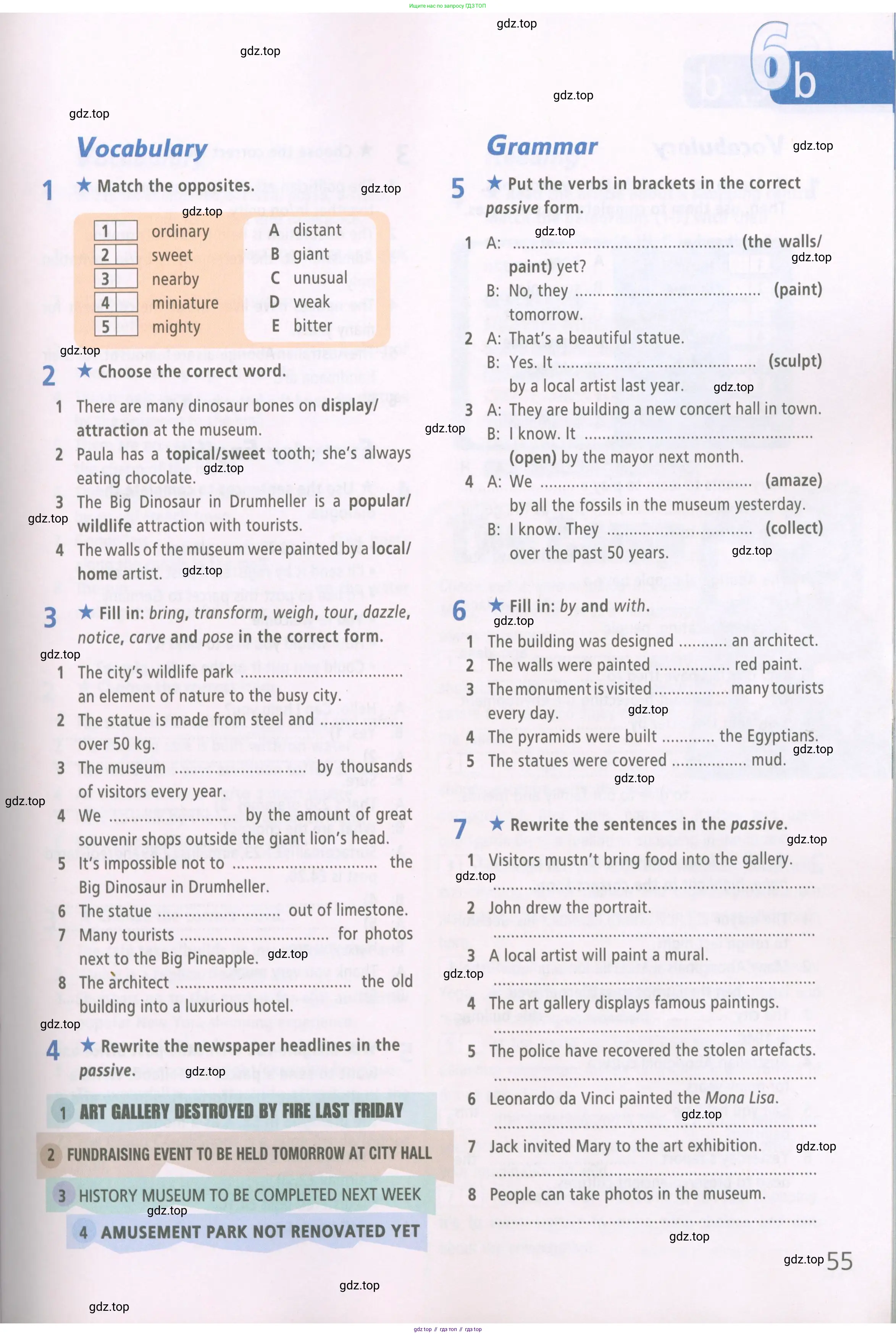 Английский язык (english), 6 класс Рабочая тетрадь (workbook), авторы: Баранова Ксения Михайловна (Baranova Ksenia), Мильруд Радислав Петрович (Millrood Radislav), Копылова Виктория Викторовна (Kopylova Victoria), Дули Дженни (Dooley Jenny), Эванс Вирджиния (Evans Virginia), издательство Просвещение, Москва, 2023, белого цвета, страница 55