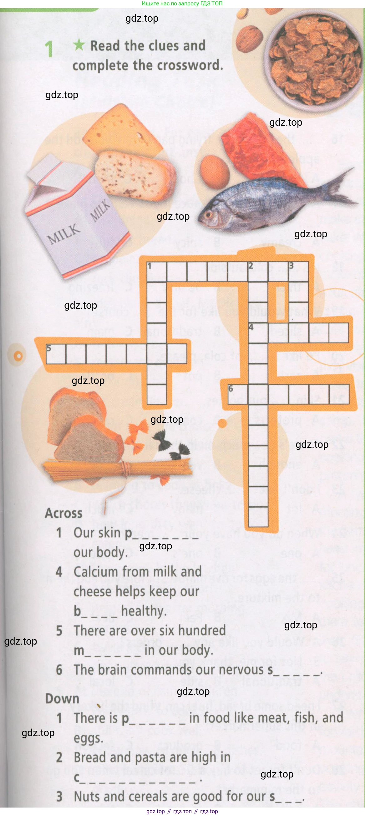 ГДЗ Английский язык (english), 6 класс Рабочая тетрадь (workbook), авторы: Баранова Ксения Михайловна (Baranova Ksenia), Мильруд Радислав Петрович (Millrood Radislav), Копылова Виктория Викторовна (Kopylova Victoria), Дули Дженни (Dooley Jenny), Эванс Вирджиния (Evans Virginia), издательство Просвещение, Москва, 2023, белого цвета, страница 21, номер 1, Условие
