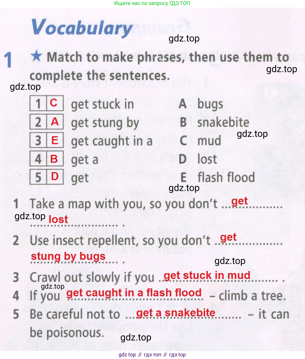 ГДЗ Английский язык (english), 6 класс Рабочая тетрадь (workbook), авторы: Баранова Ксения Михайловна (Baranova Ksenia), Мильруд Радислав Петрович (Millrood Radislav), Копылова Виктория Викторовна (Kopylova Victoria), Дули Дженни (Dooley Jenny), Эванс Вирджиния (Evans Virginia), издательство Просвещение, Москва, 2023, белого цвета, страница 7, номер 1, Решение 2