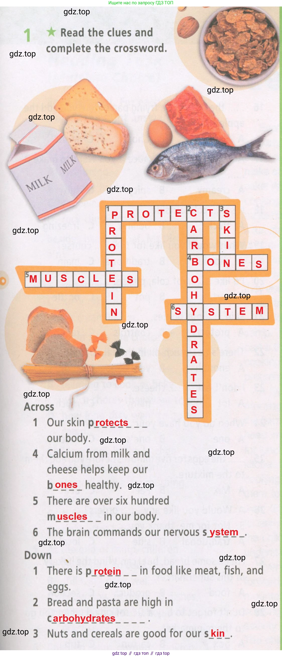ГДЗ Английский язык (english), 6 класс Рабочая тетрадь (workbook), авторы: Баранова Ксения Михайловна (Baranova Ksenia), Мильруд Радислав Петрович (Millrood Radislav), Копылова Виктория Викторовна (Kopylova Victoria), Дули Дженни (Dooley Jenny), Эванс Вирджиния (Evans Virginia), издательство Просвещение, Москва, 2023, белого цвета, страница 21, номер 1, Решение 2