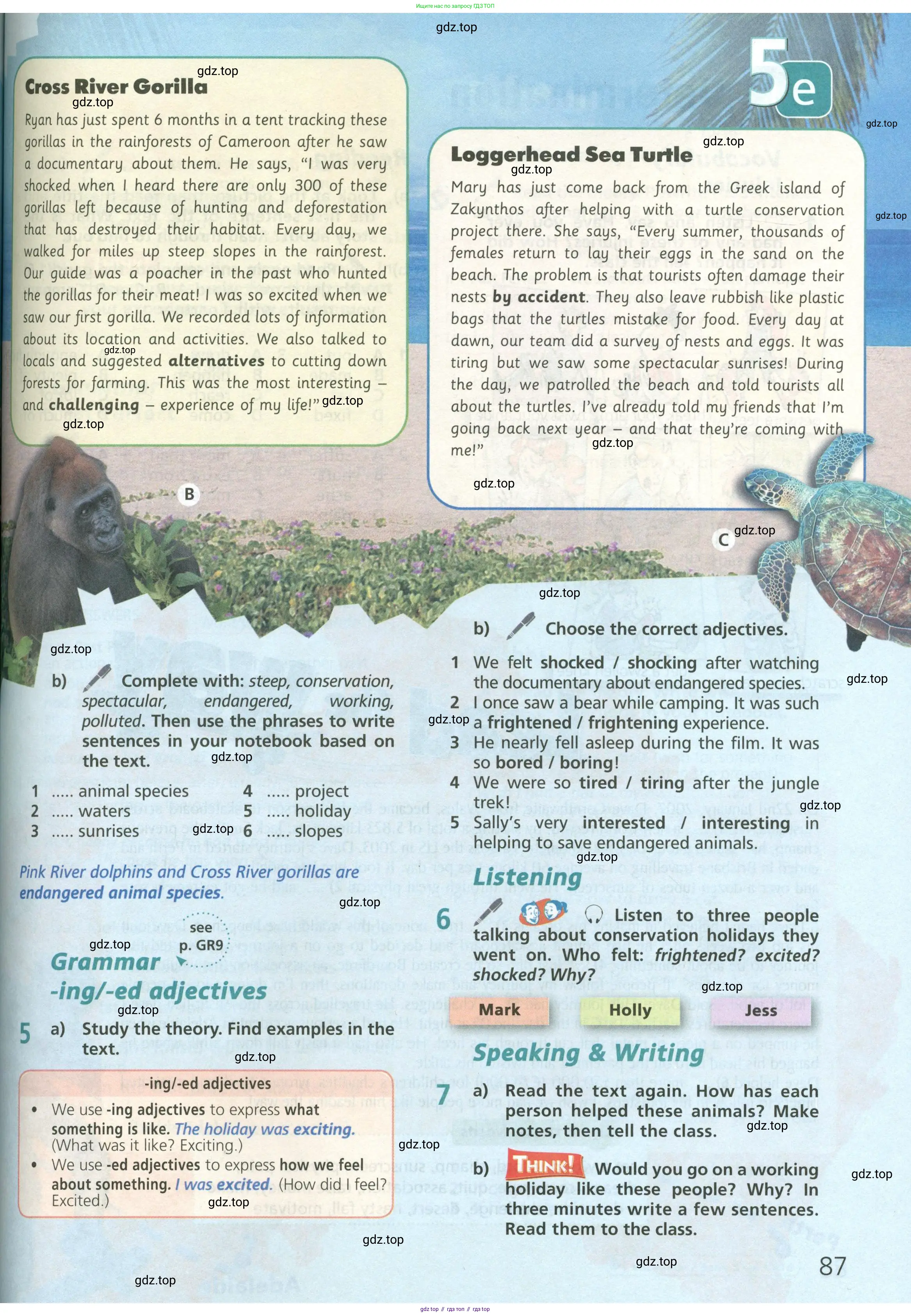 Английский язык (english), 6 класс Учебник (Student's book), авторы: Баранова Ксения Михайловна (Baranova Ksenia), Дули Дженни (Dooley Jenny), Копылова Виктория Викторовна (Kopylova Victoria), Мильруд Радислав Петрович (Millrood Radislav), Эванс Вирджиния (Evans Virginia), издательство Просвещение, Москва, 2023, белого цвета, страница 87