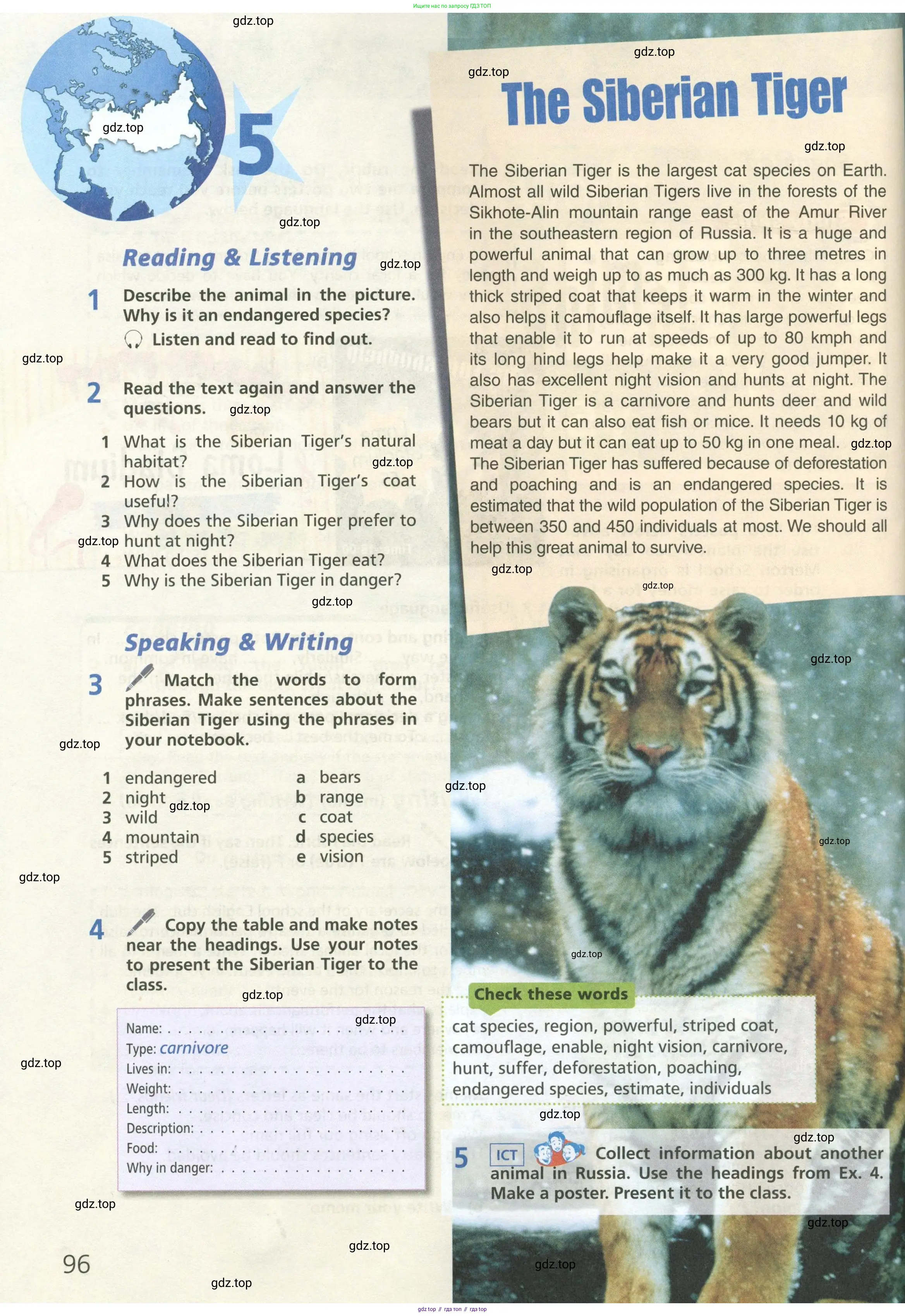 Английский язык (english), 6 класс Учебник (Student's book), авторы: Баранова Ксения Михайловна (Baranova Ksenia), Дули Дженни (Dooley Jenny), Копылова Виктория Викторовна (Kopylova Victoria), Мильруд Радислав Петрович (Millrood Radislav), Эванс Вирджиния (Evans Virginia), издательство Просвещение, Москва, 2023, белого цвета, страница 96