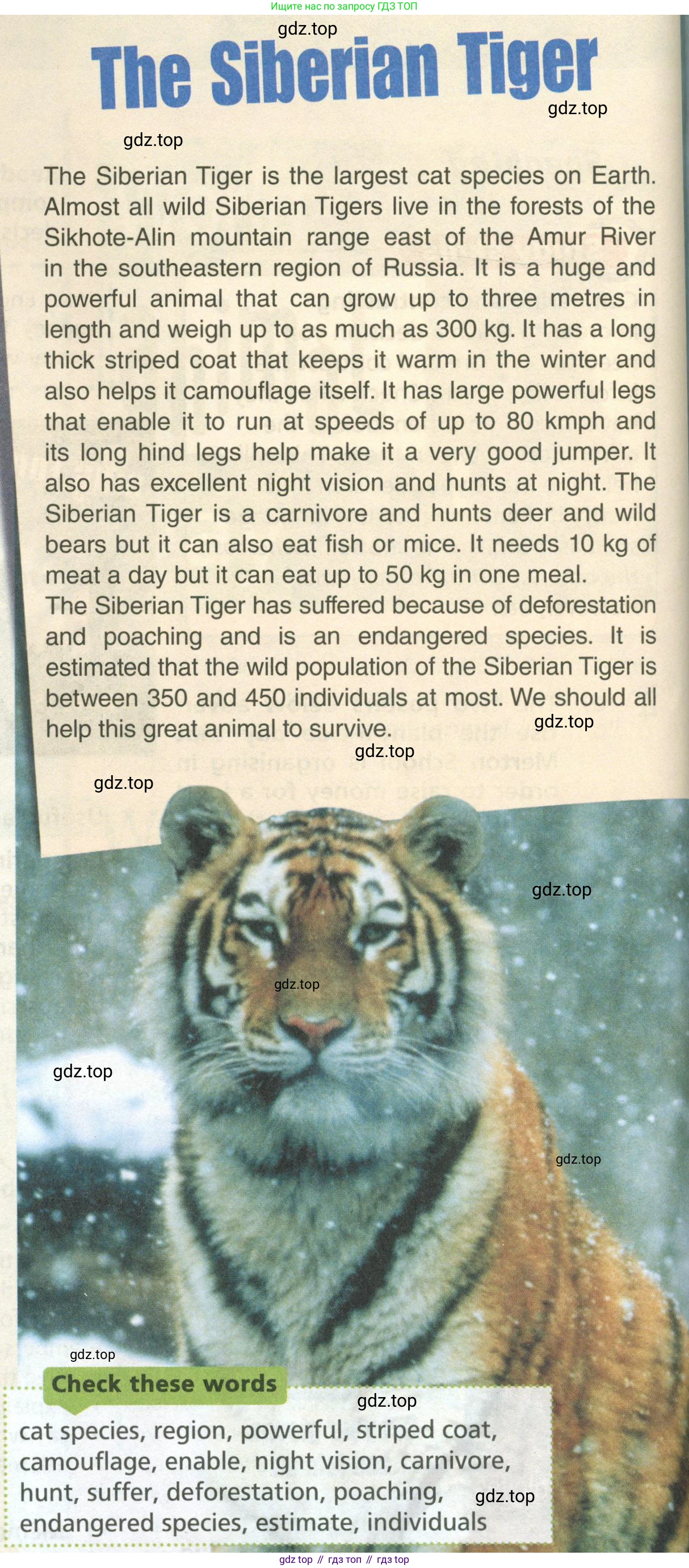ГДЗ Английский язык (english), 6 класс Учебник (Student's book), авторы: Баранова Ксения Михайловна (Baranova Ksenia), Дули Дженни (Dooley Jenny), Копылова Виктория Викторовна (Kopylova Victoria), Мильруд Радислав Петрович (Millrood Radislav), Эванс Вирджиния (Evans Virginia), издательство Просвещение, Москва, 2023, белого цвета, страница 96, номер 1, Условие (продолжение 2)