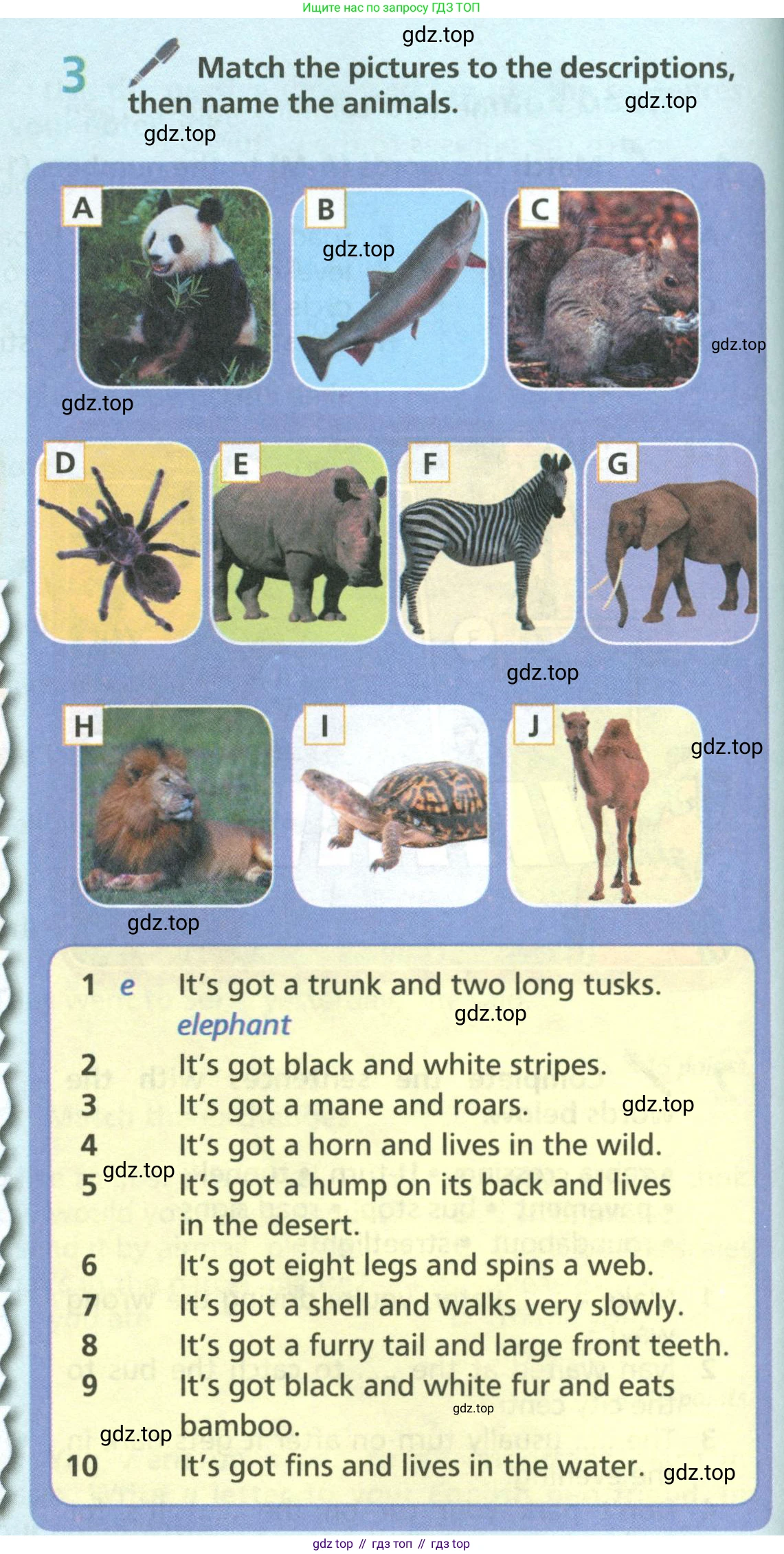 ГДЗ Английский язык (english), 6 класс Учебник (Student's book), авторы: Баранова Ксения Михайловна (Baranova Ksenia), Дули Дженни (Dooley Jenny), Копылова Виктория Викторовна (Kopylova Victoria), Мильруд Радислав Петрович (Millrood Radislav), Эванс Вирджиния (Evans Virginia), издательство Просвещение, Москва, 2023, белого цвета, страница 122, номер 3, Условие