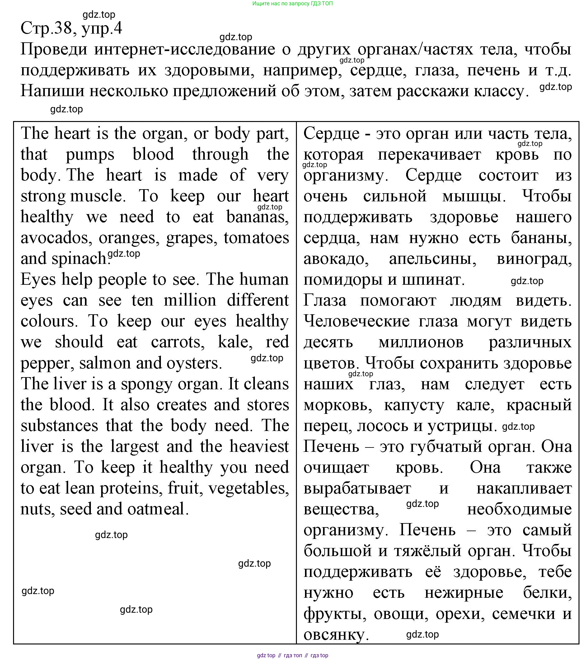ГДЗ Английский язык (english), 6 класс Учебник (Student's book), авторы: Баранова Ксения Михайловна (Baranova Ksenia), Дули Дженни (Dooley Jenny), Копылова Виктория Викторовна (Kopylova Victoria), Мильруд Радислав Петрович (Millrood Radislav), Эванс Вирджиния (Evans Virginia), издательство Просвещение, Москва, 2023, белого цвета, страница 38, номер 4, Решение