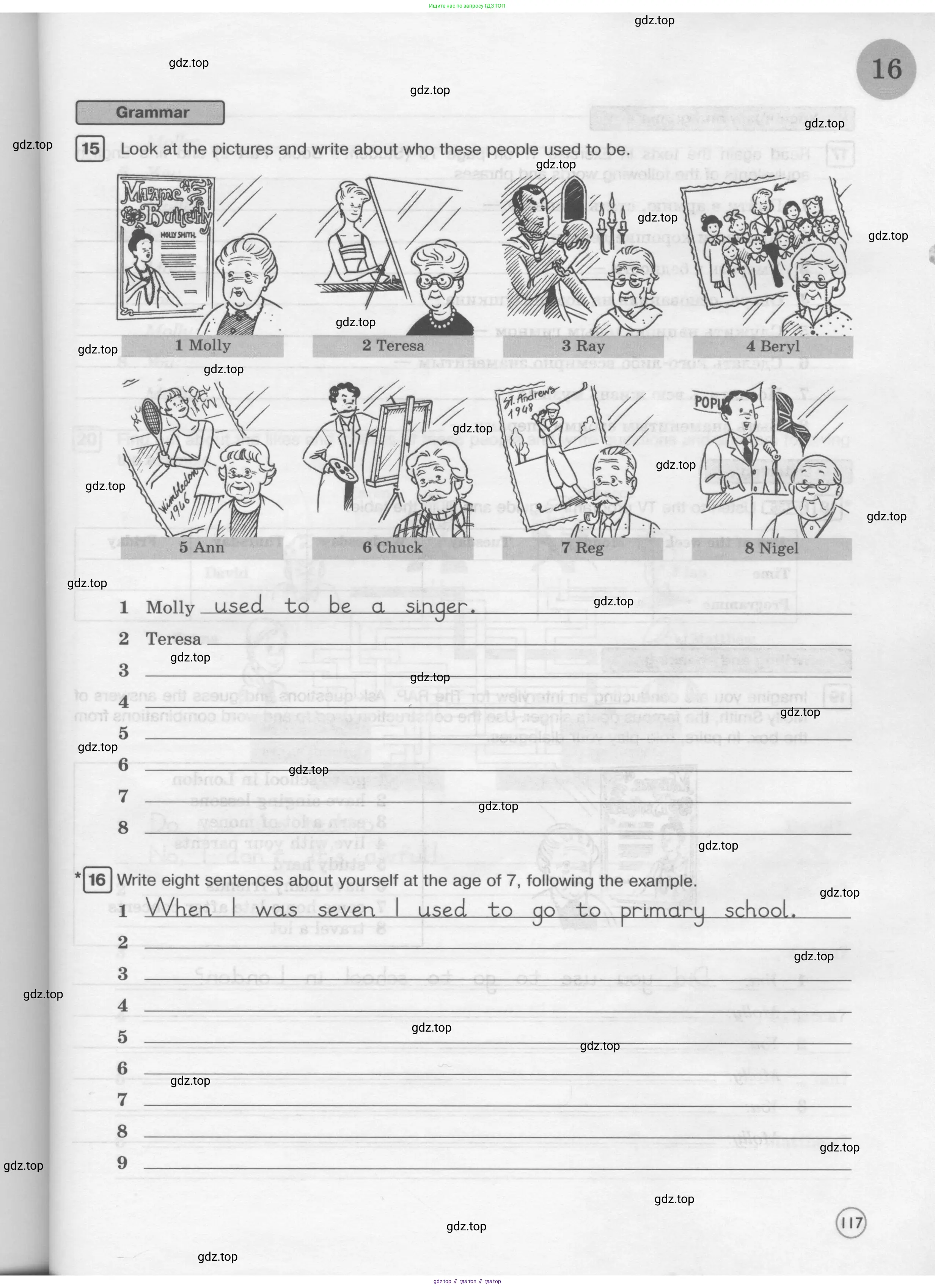 Английский язык (english), 6 класс Рабочая тетрадь (workbook), авторы: Вербицкая Мария Валерьевна (Verbitskaya Maria), Гаярделли Мариса (Gaiardelli Marisa ), Редли Пауль (Radley Paul), Миндрул Ольга Сергеевна (Mindrul Olga), издательство Просвещение, Москва, красного цвета, страница 117