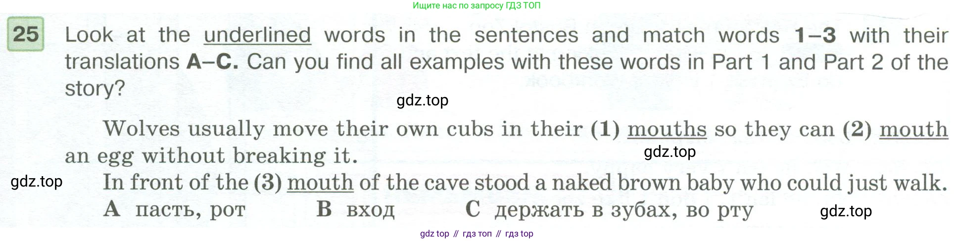 ГДЗ Английский язык (english), 6 класс Учебник (Student's book), авторы: Вербицкая Мария Валерьевна (Verbitskaya Maria), Гаярделли Мариса (Gaiardelli Marisa ), Редли Пауль (Radley Paul), Савчук Лариса Олеговна (Savchuk Larisa), издательство Просвещение, Москва, 2023, красного цвета, Часть 1, страница 53, номер 25, Условие