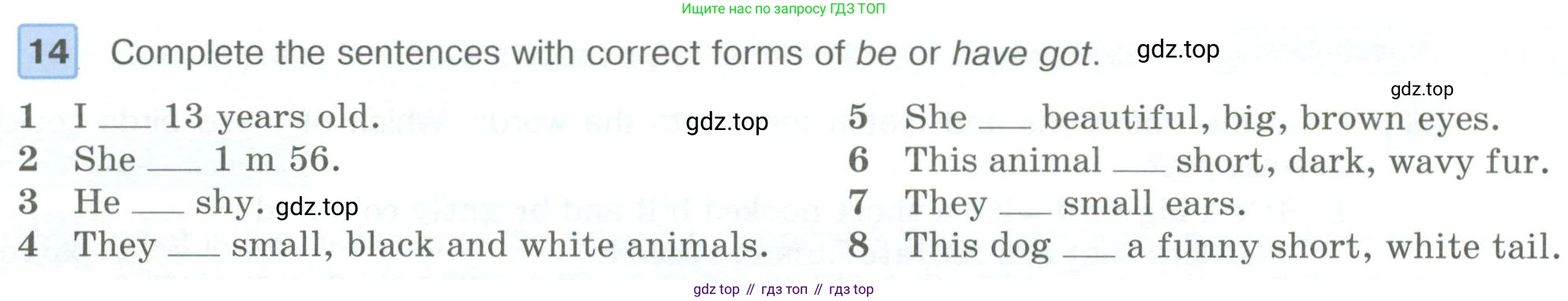 ГДЗ Английский язык (english), 6 класс Учебник (Student's book), авторы: Вербицкая Мария Валерьевна (Verbitskaya Maria), Гаярделли Мариса (Gaiardelli Marisa ), Редли Пауль (Radley Paul), Савчук Лариса Олеговна (Savchuk Larisa), издательство Просвещение, Москва, 2023, красного цвета, Часть 1, страница 58, номер 14, Условие
