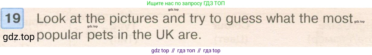 ГДЗ Английский язык (english), 6 класс Учебник (Student's book), авторы: Вербицкая Мария Валерьевна (Verbitskaya Maria), Гаярделли Мариса (Gaiardelli Marisa ), Редли Пауль (Radley Paul), Савчук Лариса Олеговна (Savchuk Larisa), издательство Просвещение, Москва, 2023, красного цвета, Часть 1, страница 60, номер 19, Условие