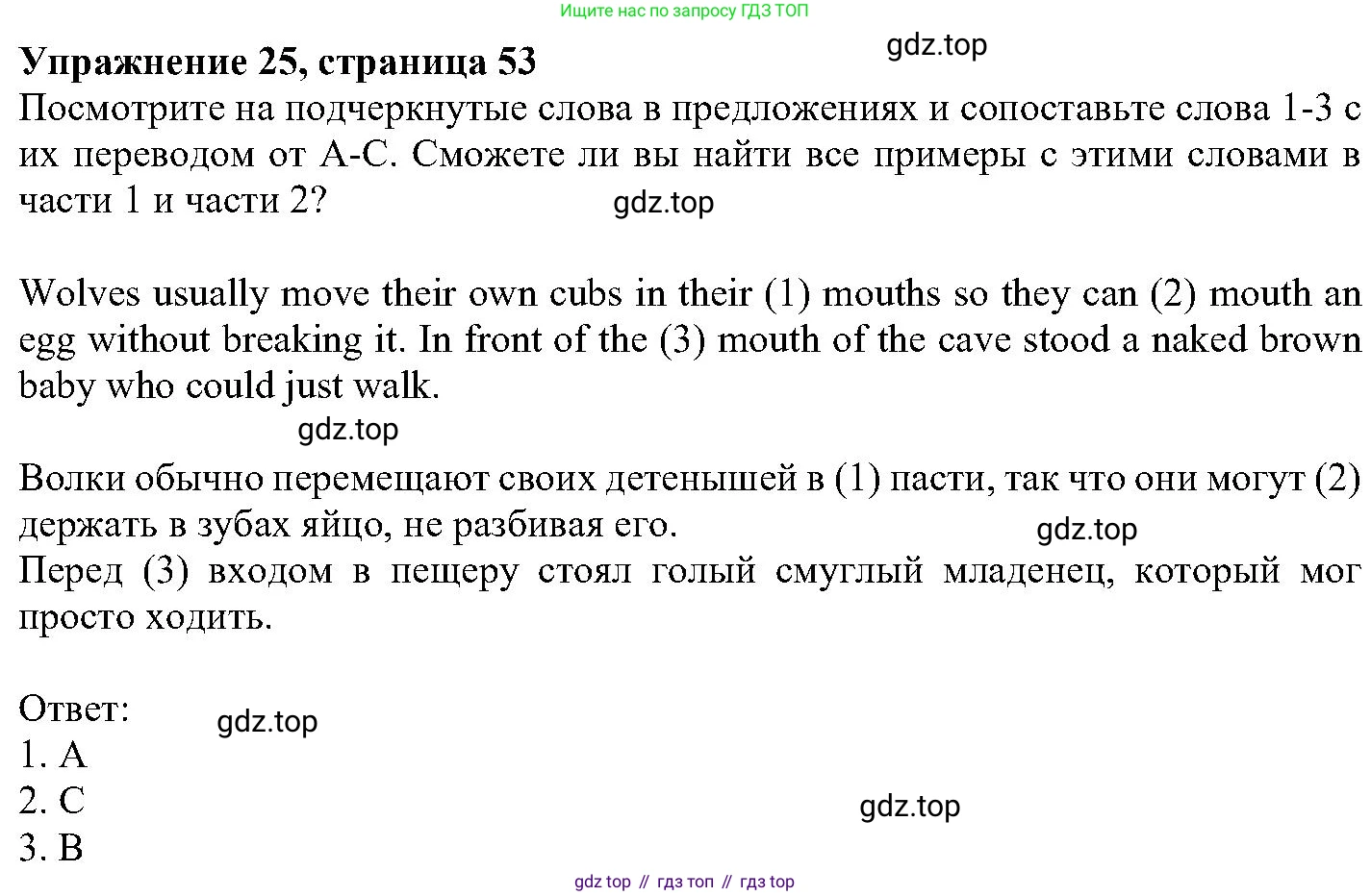 ГДЗ Английский язык (english), 6 класс Учебник (Student's book), авторы: Вербицкая Мария Валерьевна (Verbitskaya Maria), Гаярделли Мариса (Gaiardelli Marisa ), Редли Пауль (Radley Paul), Савчук Лариса Олеговна (Savchuk Larisa), издательство Просвещение, Москва, 2023, красного цвета, Часть 1, страница 53, номер 25, Решение