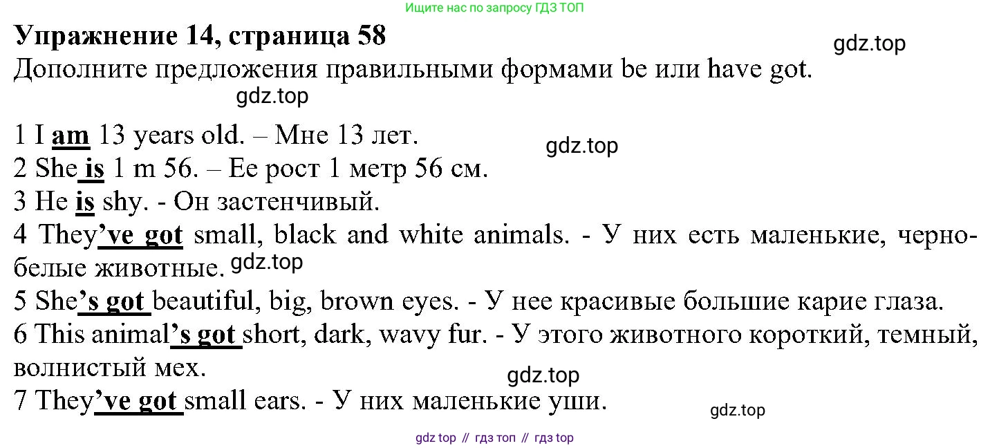 ГДЗ Английский язык (english), 6 класс Учебник (Student's book), авторы: Вербицкая Мария Валерьевна (Verbitskaya Maria), Гаярделли Мариса (Gaiardelli Marisa ), Редли Пауль (Radley Paul), Савчук Лариса Олеговна (Savchuk Larisa), издательство Просвещение, Москва, 2023, красного цвета, Часть 1, страница 58, номер 14, Решение