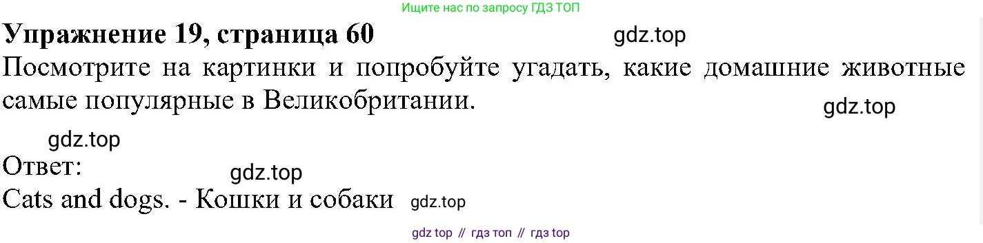 ГДЗ Английский язык (english), 6 класс Учебник (Student's book), авторы: Вербицкая Мария Валерьевна (Verbitskaya Maria), Гаярделли Мариса (Gaiardelli Marisa ), Редли Пауль (Radley Paul), Савчук Лариса Олеговна (Savchuk Larisa), издательство Просвещение, Москва, 2023, красного цвета, Часть 1, страница 60, номер 19, Решение