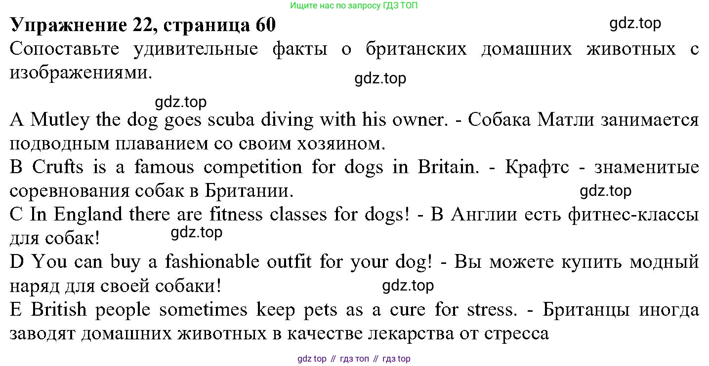 ГДЗ Английский язык (english), 6 класс Учебник (Student's book), авторы: Вербицкая Мария Валерьевна (Verbitskaya Maria), Гаярделли Мариса (Gaiardelli Marisa ), Редли Пауль (Radley Paul), Савчук Лариса Олеговна (Savchuk Larisa), издательство Просвещение, Москва, 2023, красного цвета, Часть 1, страница 60, номер 22, Решение