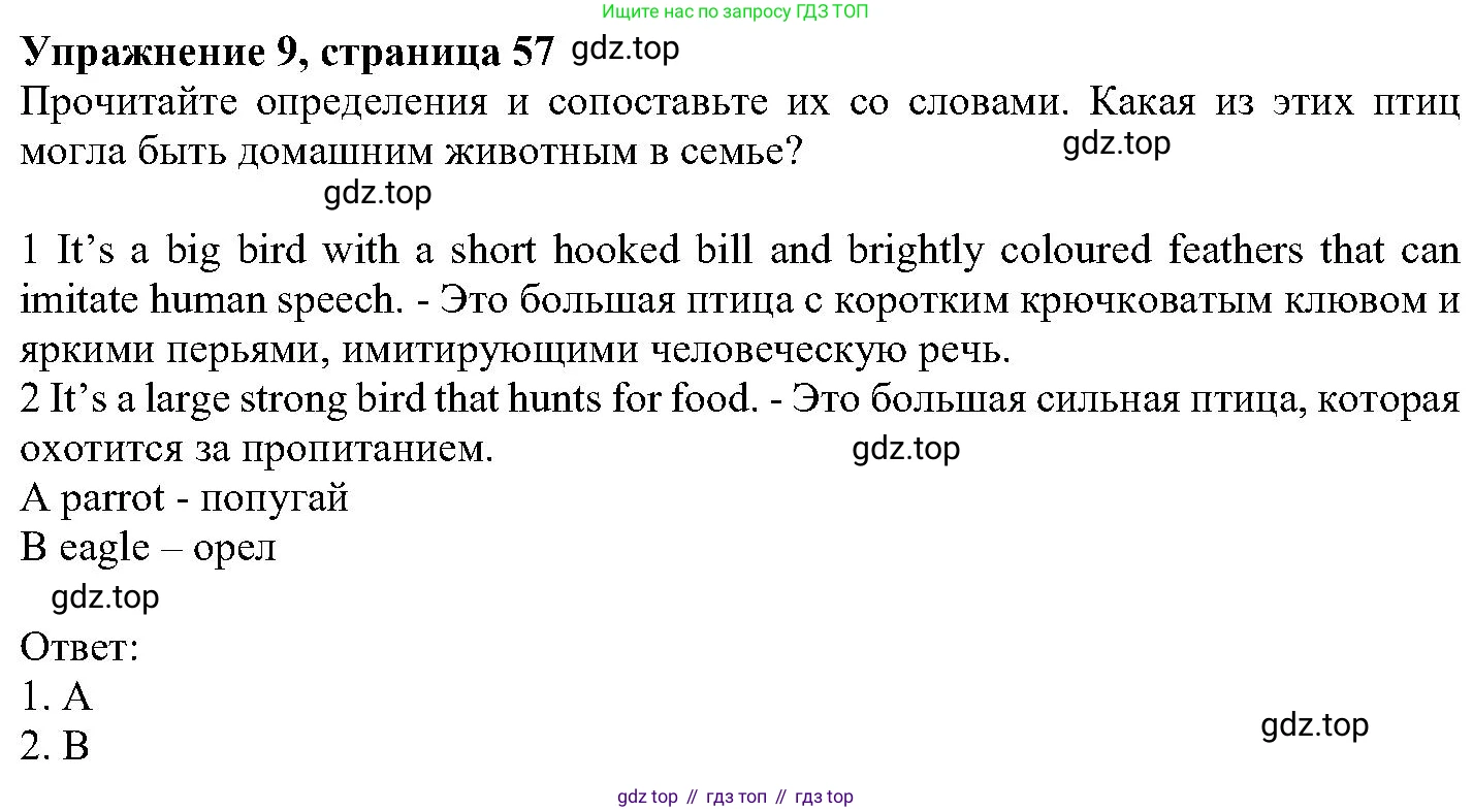 ГДЗ Английский язык (english), 6 класс Учебник (Student's book), авторы: Вербицкая Мария Валерьевна (Verbitskaya Maria), Гаярделли Мариса (Gaiardelli Marisa ), Редли Пауль (Radley Paul), Савчук Лариса Олеговна (Savchuk Larisa), издательство Просвещение, Москва, 2023, красного цвета, Часть 1, страница 57, номер 9, Решение