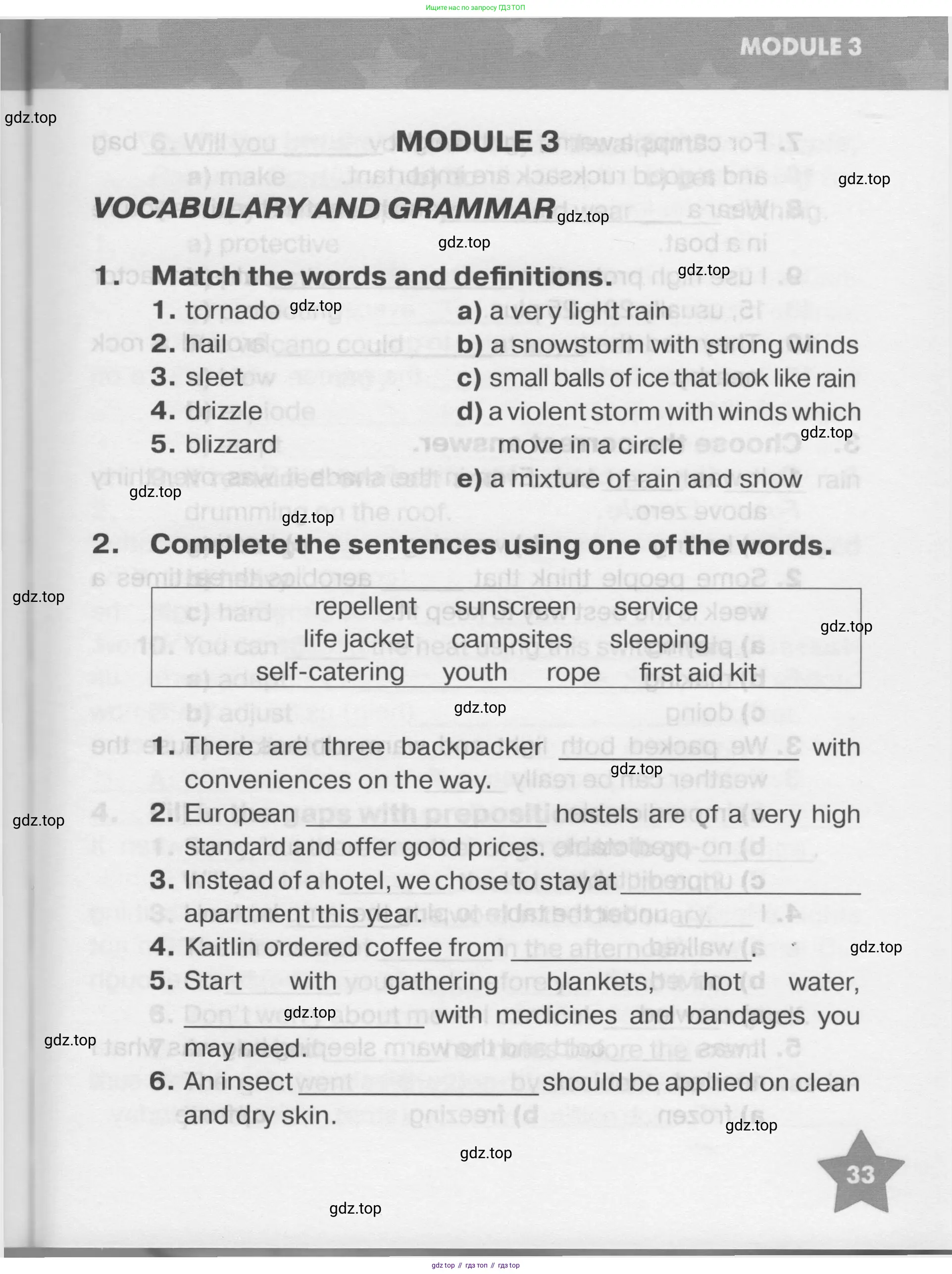 Английский язык (english), 7 класс Тренировочные упражнения в формате ОГЭ (ГИА), авторы: Комиссаров Константин Вячеславович, Кирдяева Ольга Ивановна, издательство Просвещение, Москва, 2019, белого цвета, страница 33